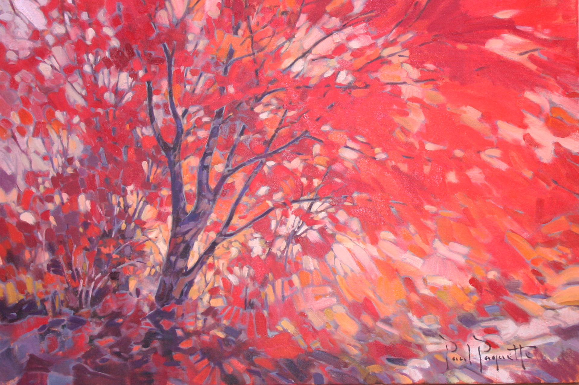 Autumn Fire (Slim Canvas) by Paul Paquette