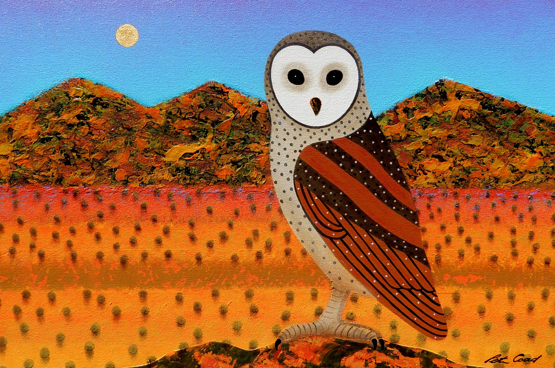 Owl Study- Ikara by Peter Coad