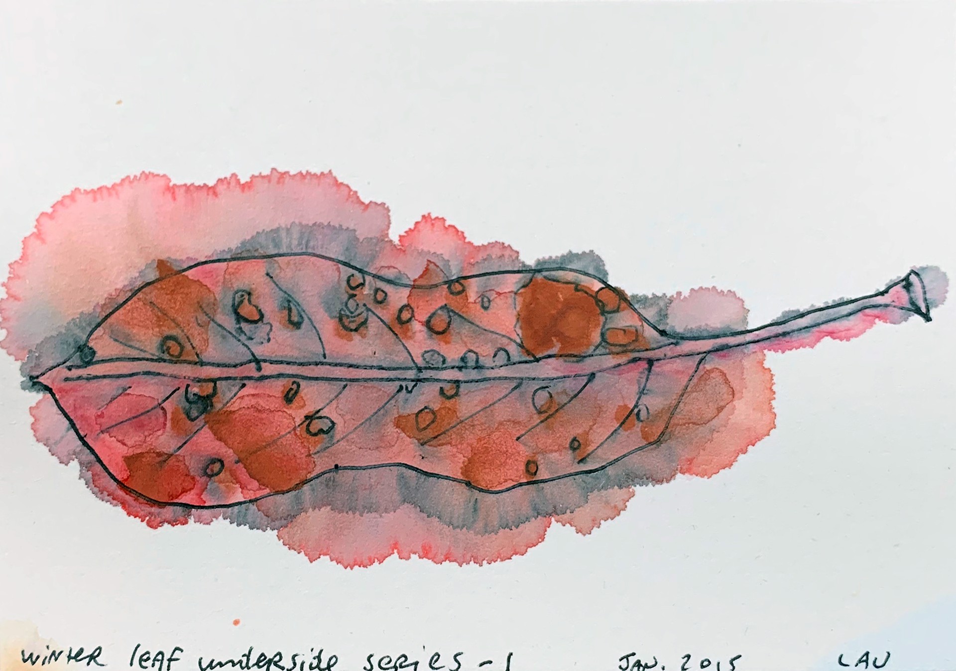 Winter Leaf Underside series 1 by Alan Lau | Small Works