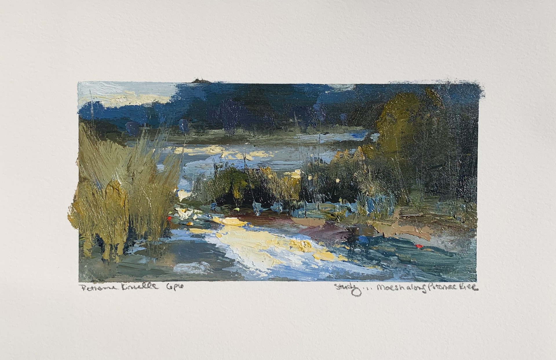 Marsh Along Potomac River (Study) by Bethanne Cople