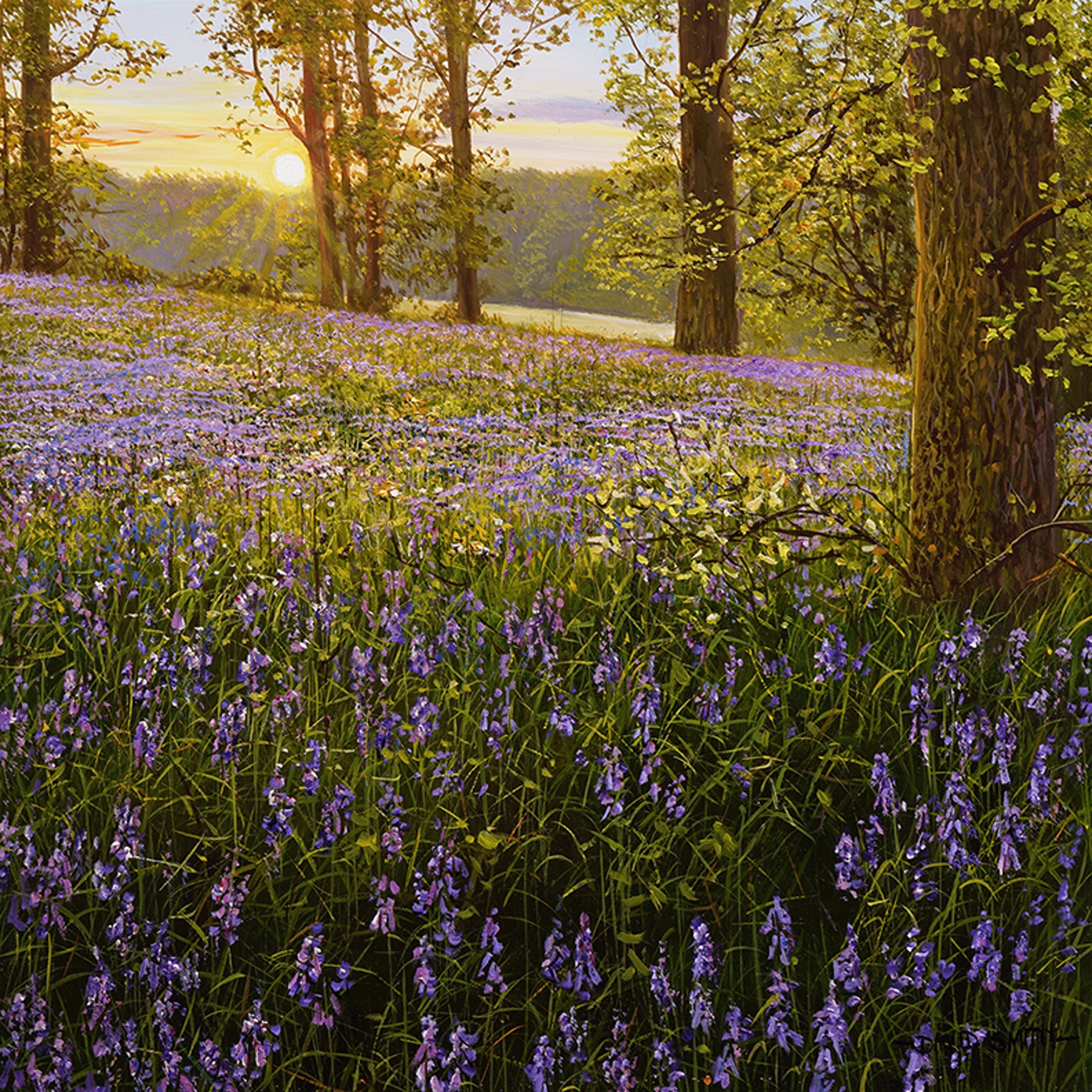 Spring Flowers by David Smith