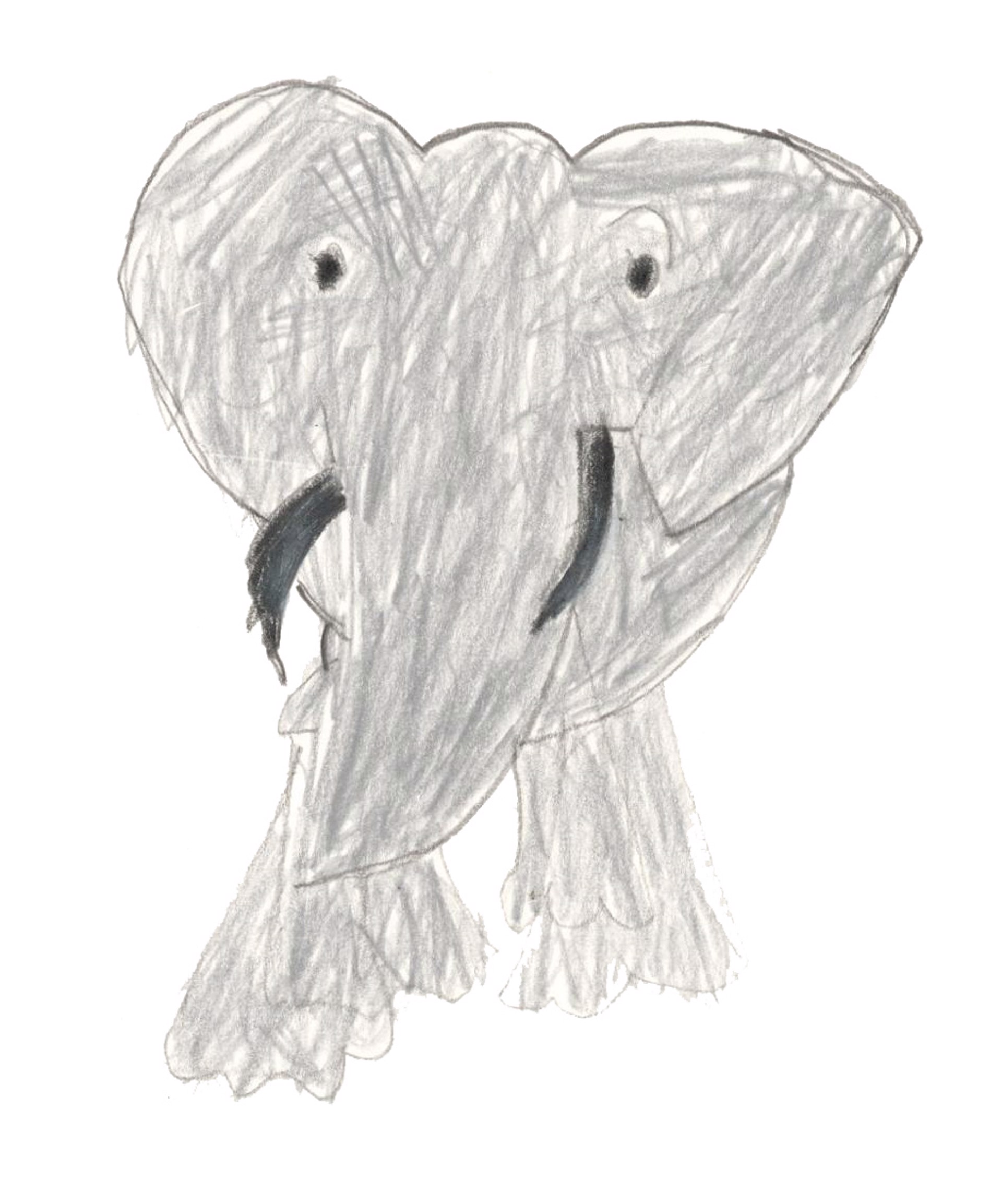 Elephant by Duane Blacksheare-Staton