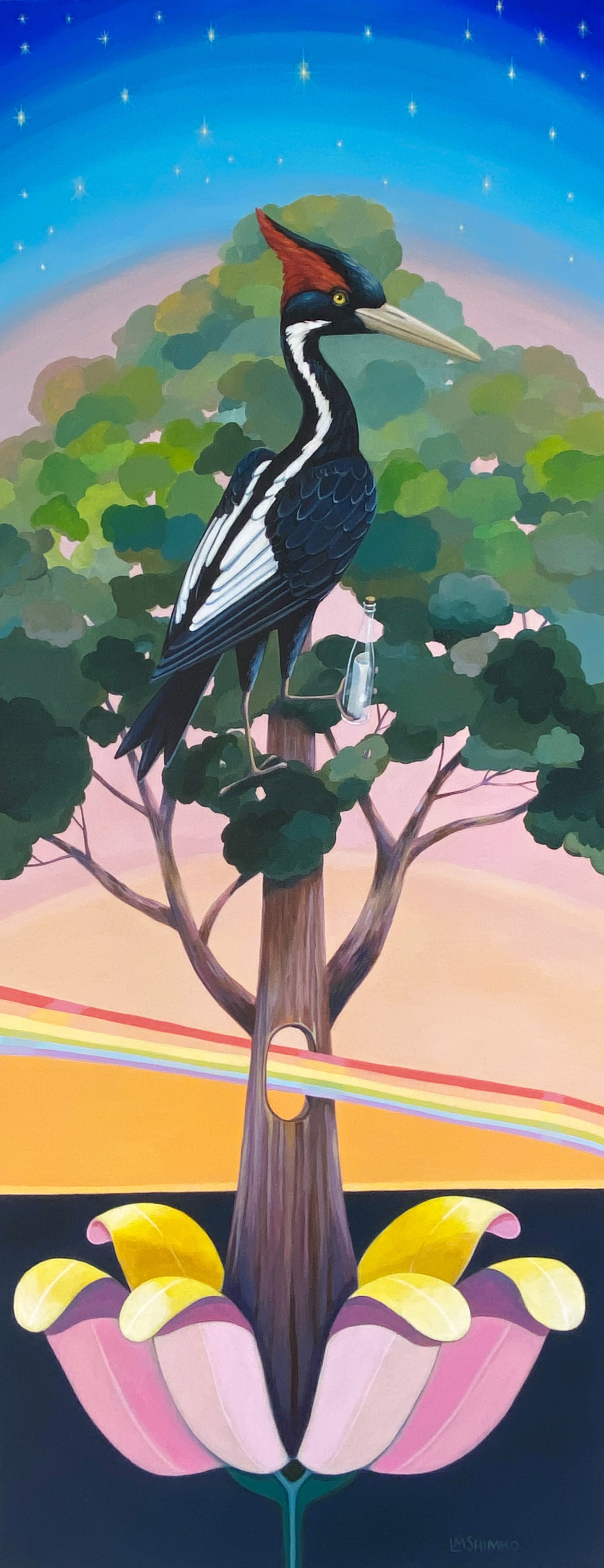 Ivory-billed Woodpecker Message by Lisa Shimko