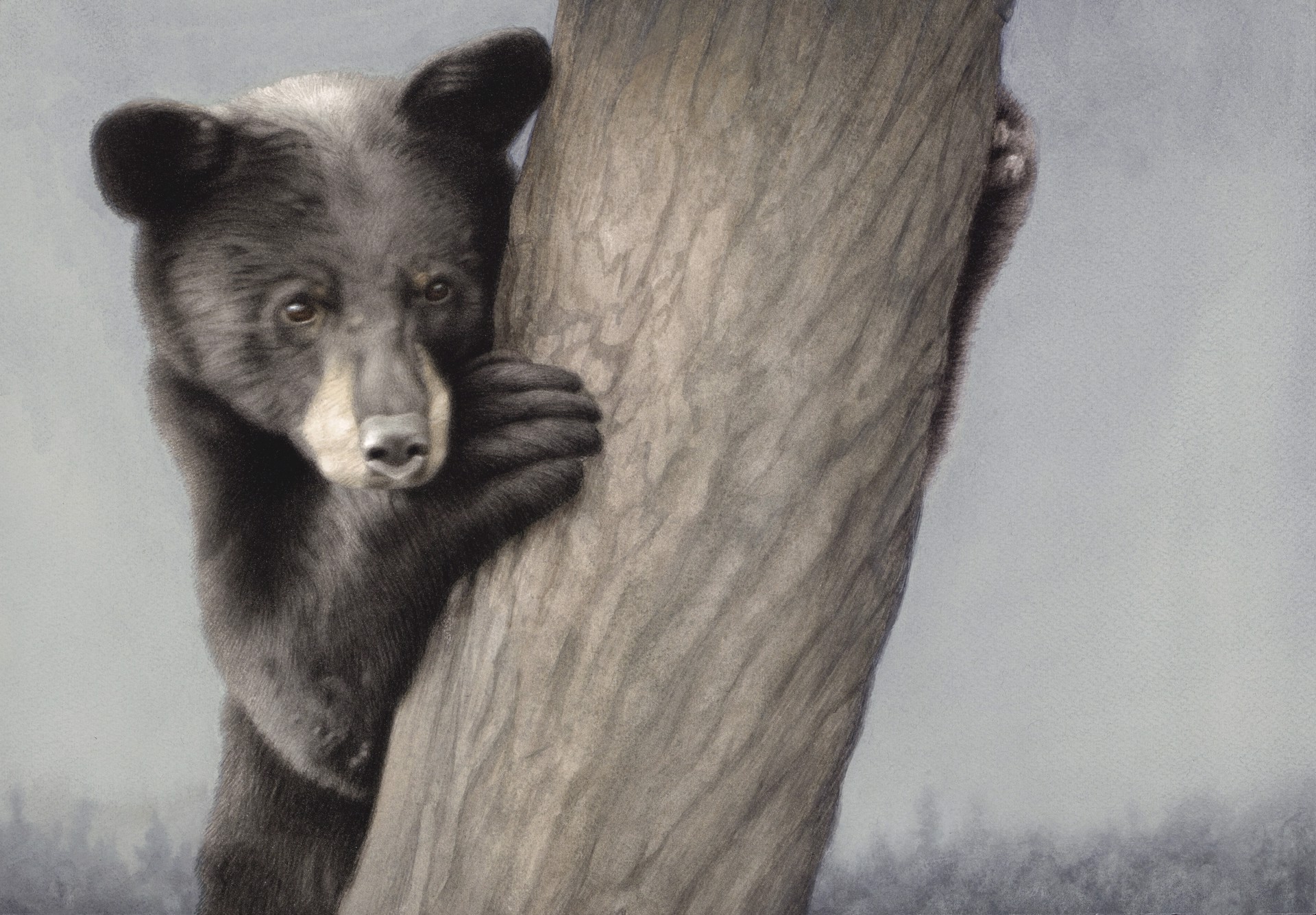 Yearling Black Bear by Susan McDonnell
