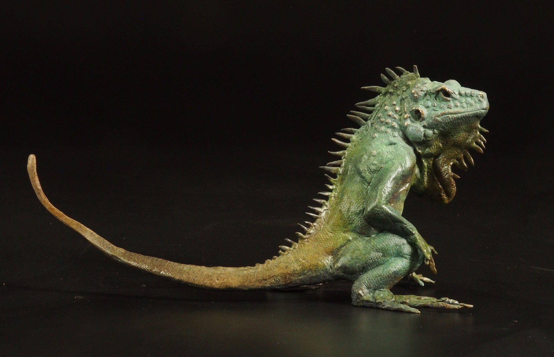 Iguana by Dan Chen
