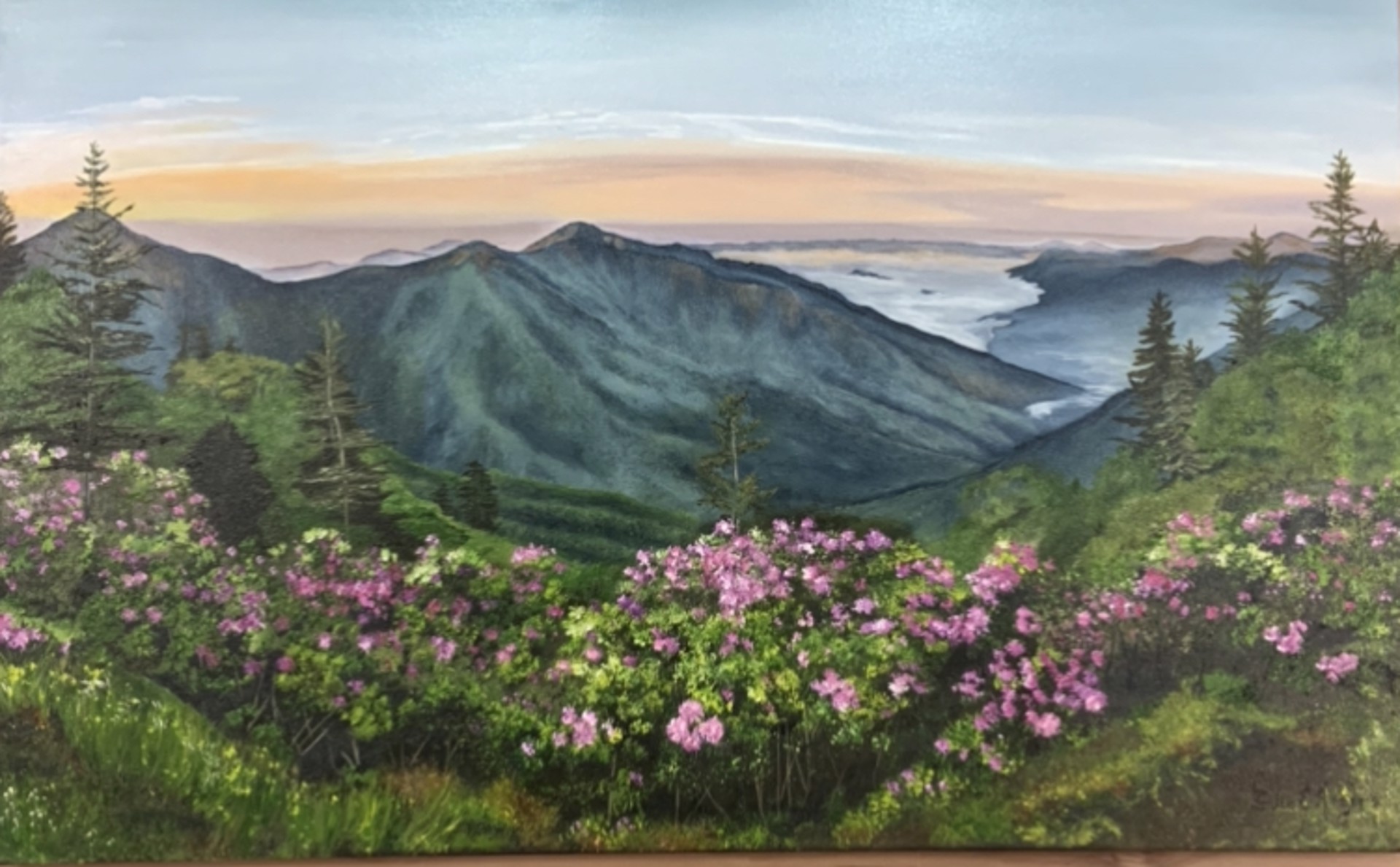 Mountain Laurel Sunset by Julie Rogers