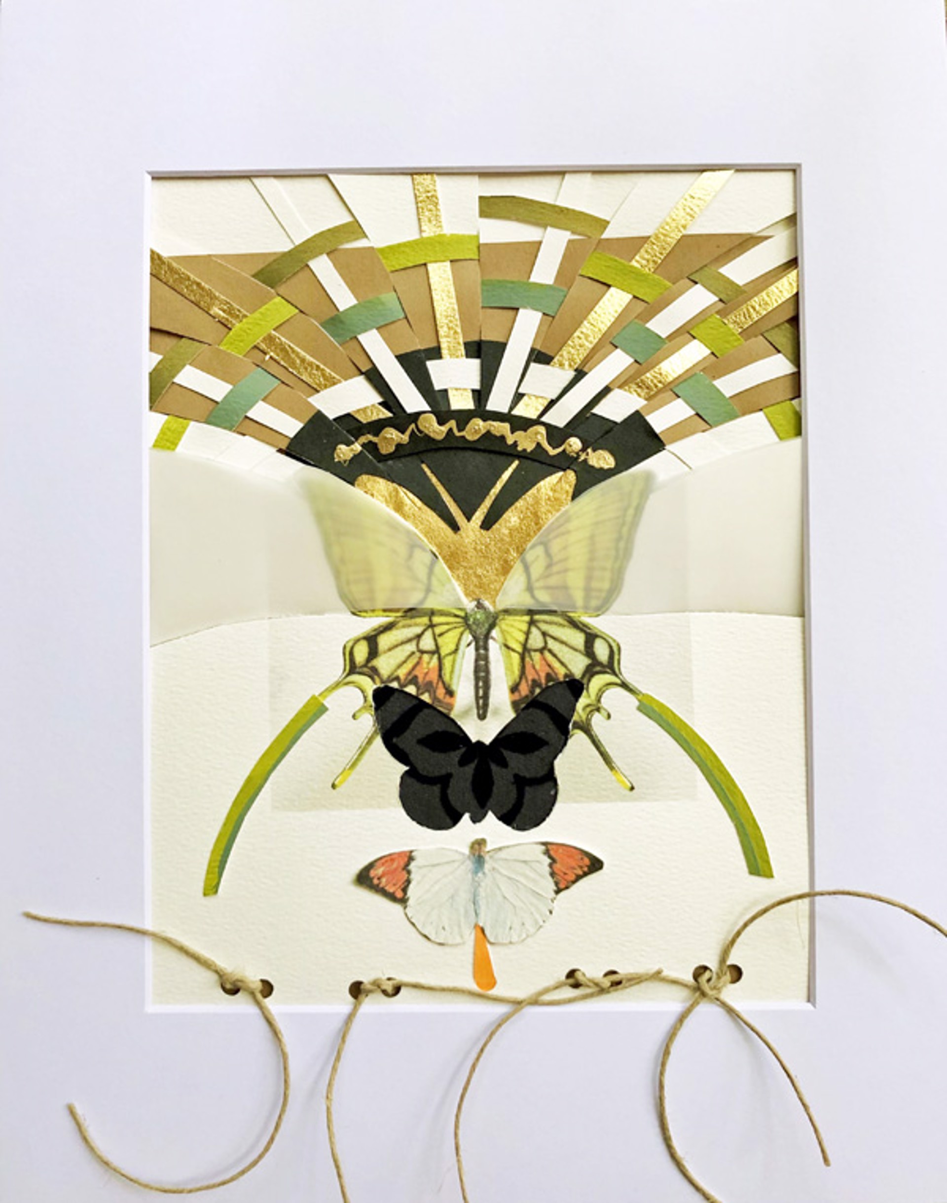 Butterflies Collage by Beth Aronoff