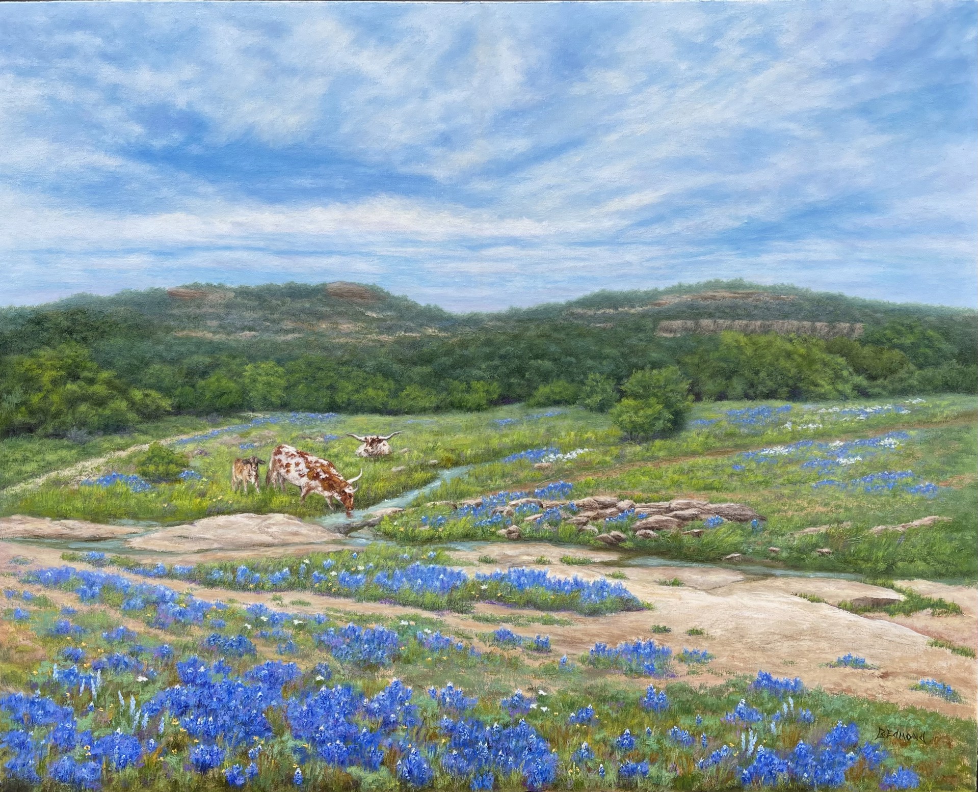 The Glory of the Texas Hill Country by Betty Edmond