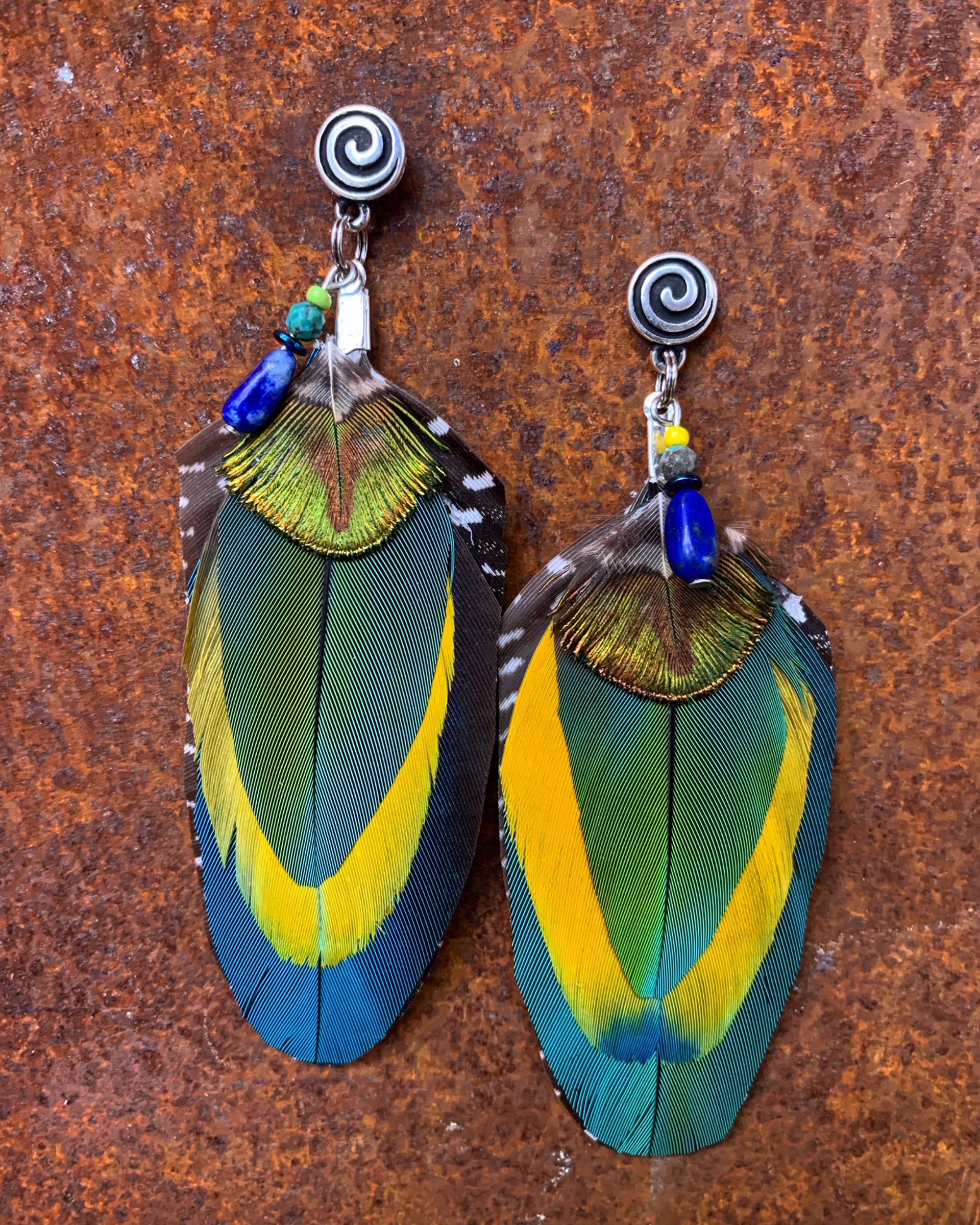 K786 Blue and Yellow Parrot Earrings by Kelly Ormsby