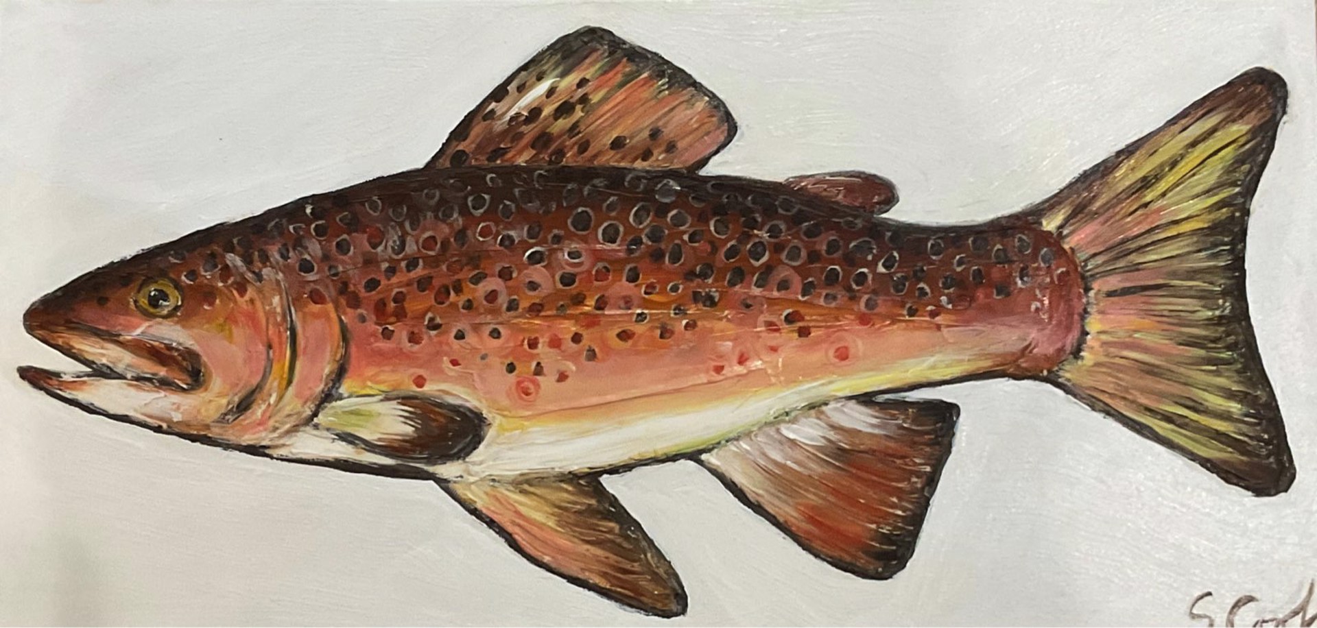Brown Trout by Sherry Cook