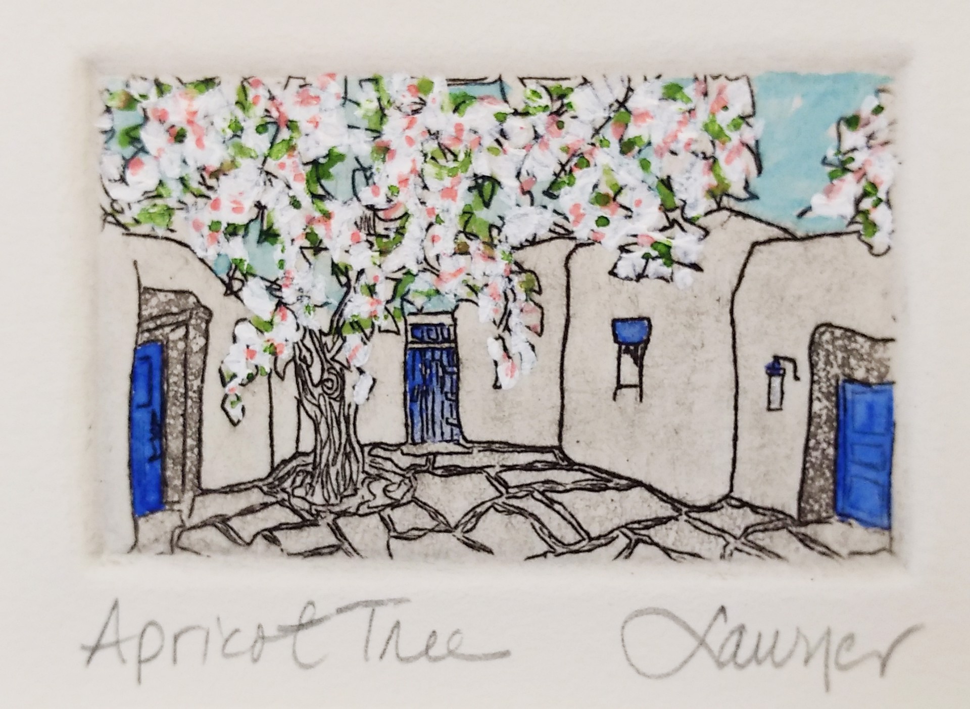 Apricot Tree-unframed by Anne Sawyer