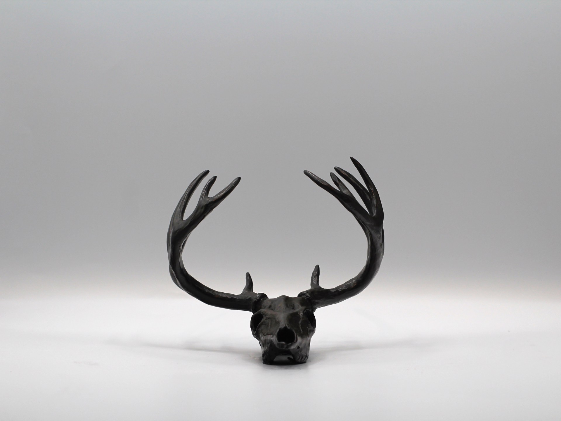 Whitetail Skull II by Mike Barlow