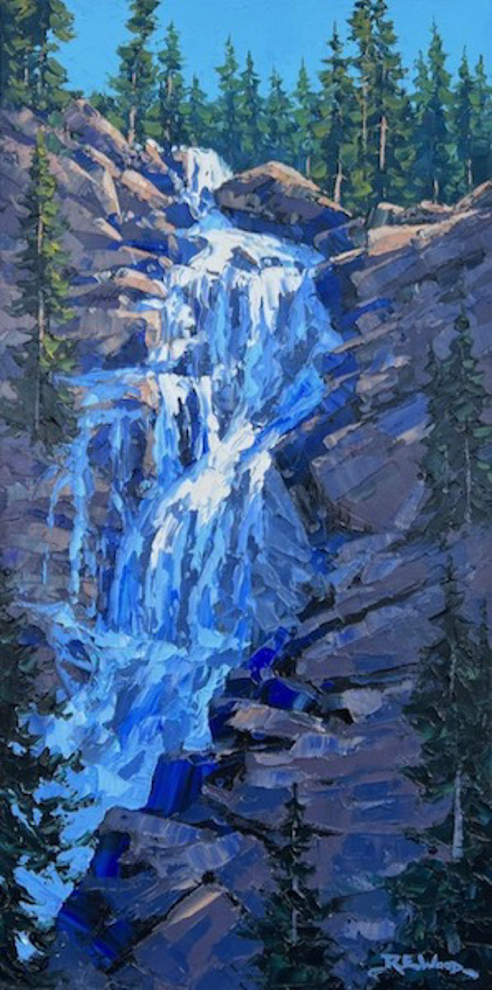 Shannon Falls by Robert E Wood