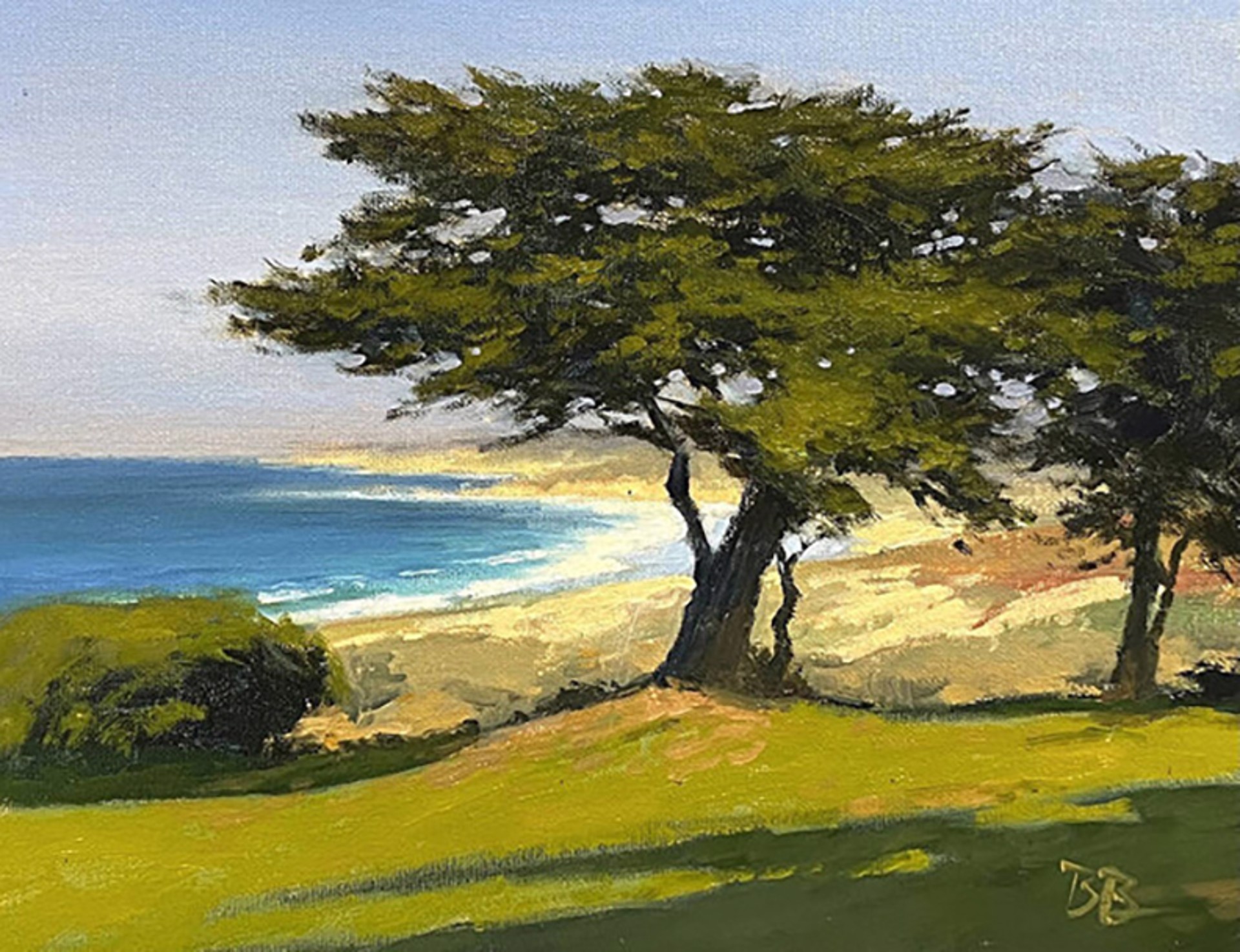 View of Spanish Bay by Brian Blood