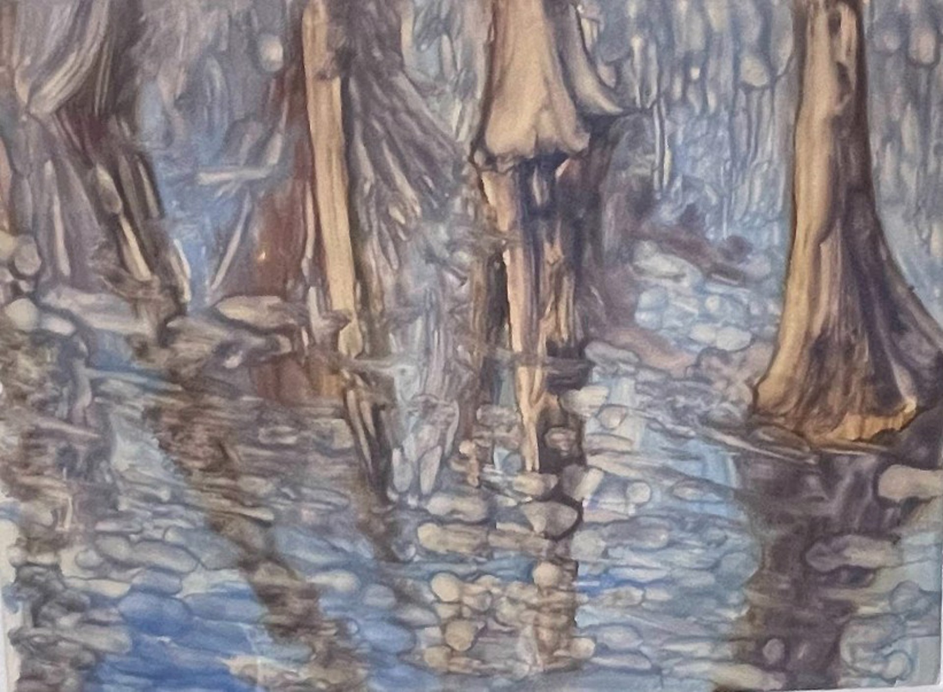 The Congaree XXVIII by Mary Gilkerson