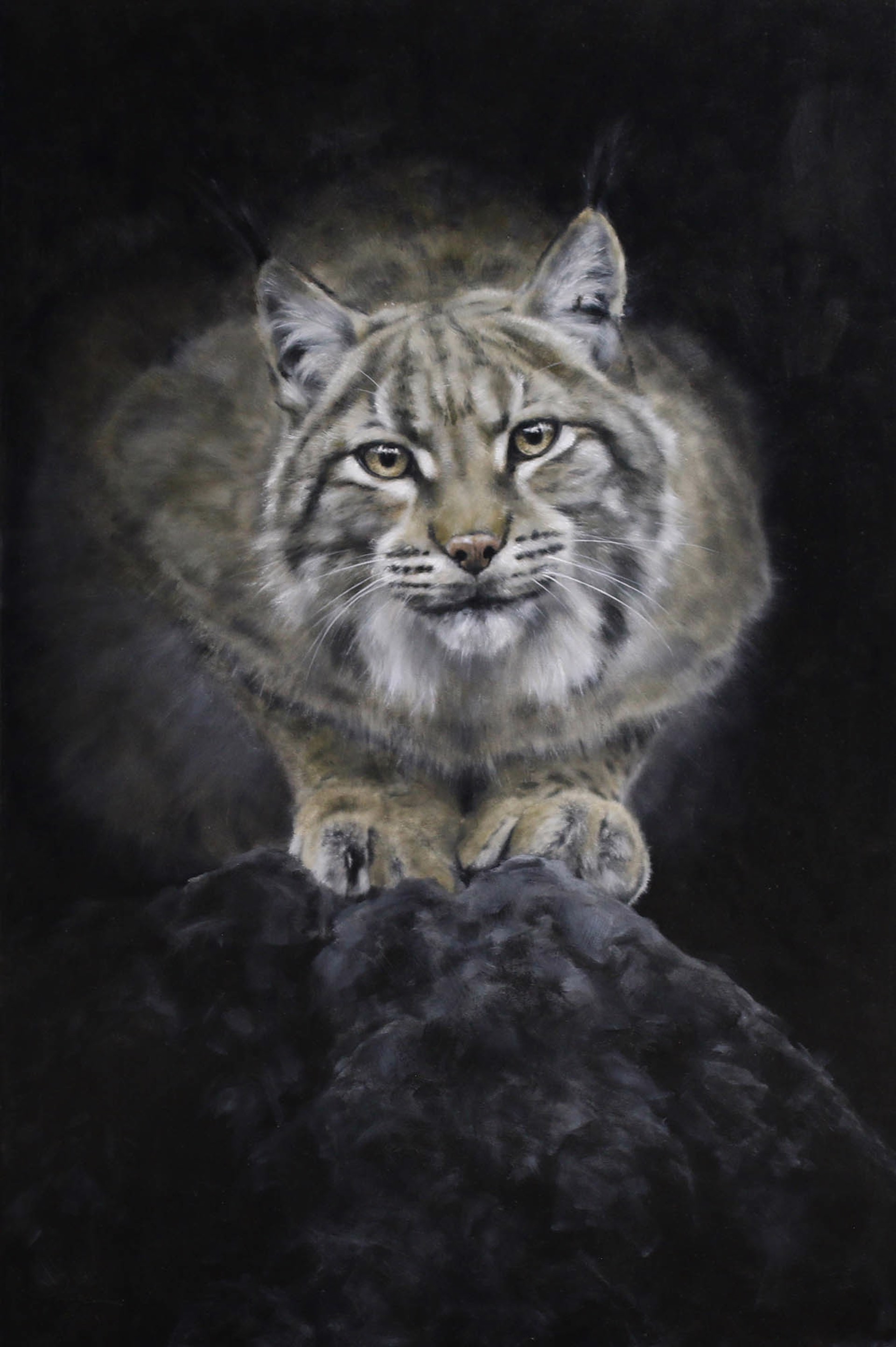 Original Oil Painting By Doyle Hostetler Featuring A Pouncing Bobcat On A Rock