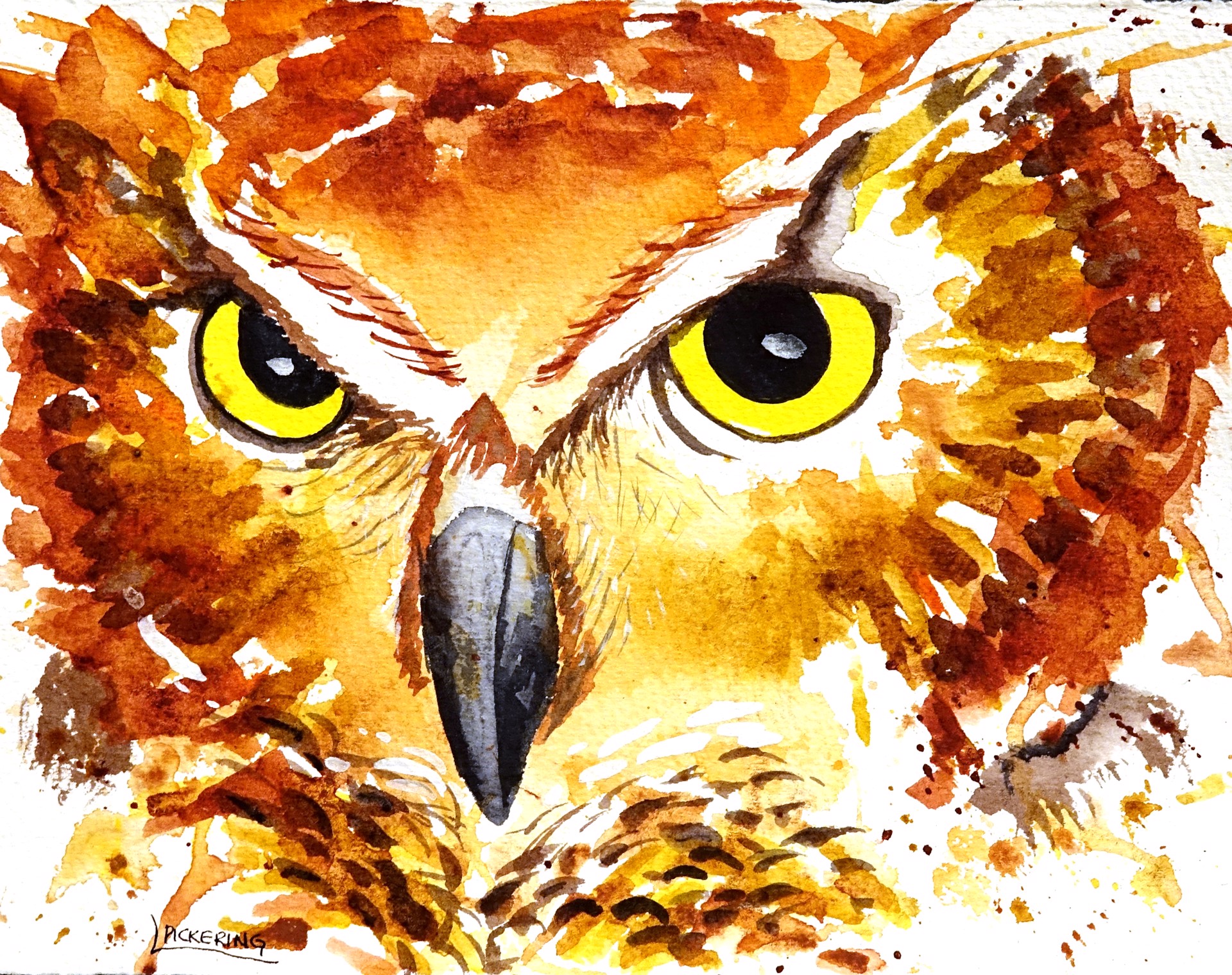 Hoot Hoot by Laura Pickering
