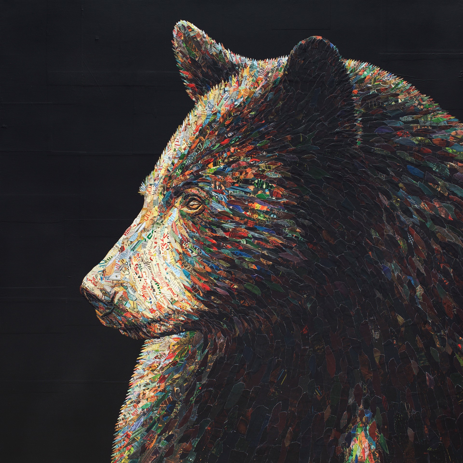 Brand New by Jay Kelly