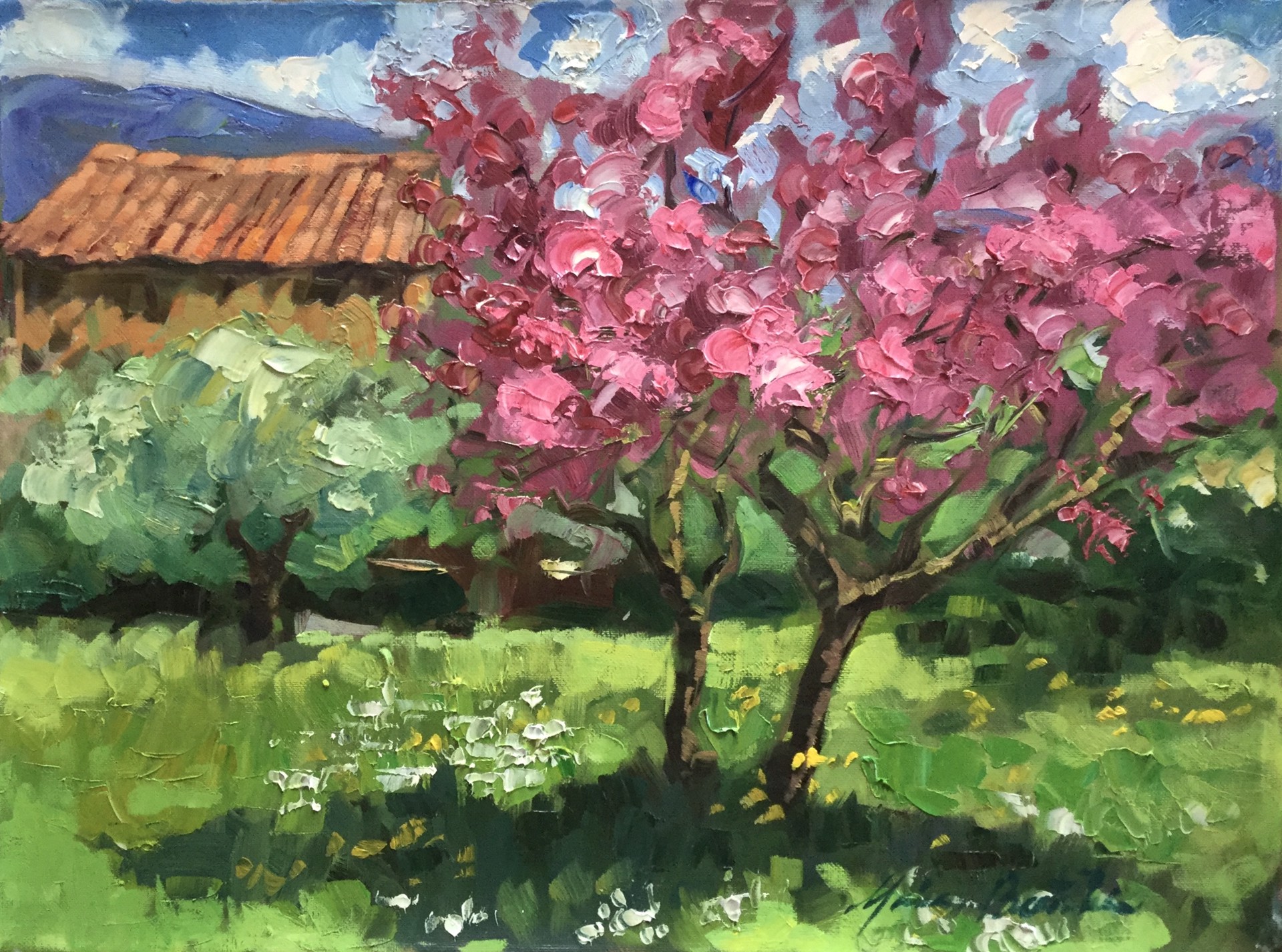 Pink Blossoms In Les Grand Clements by Maria Bertrán