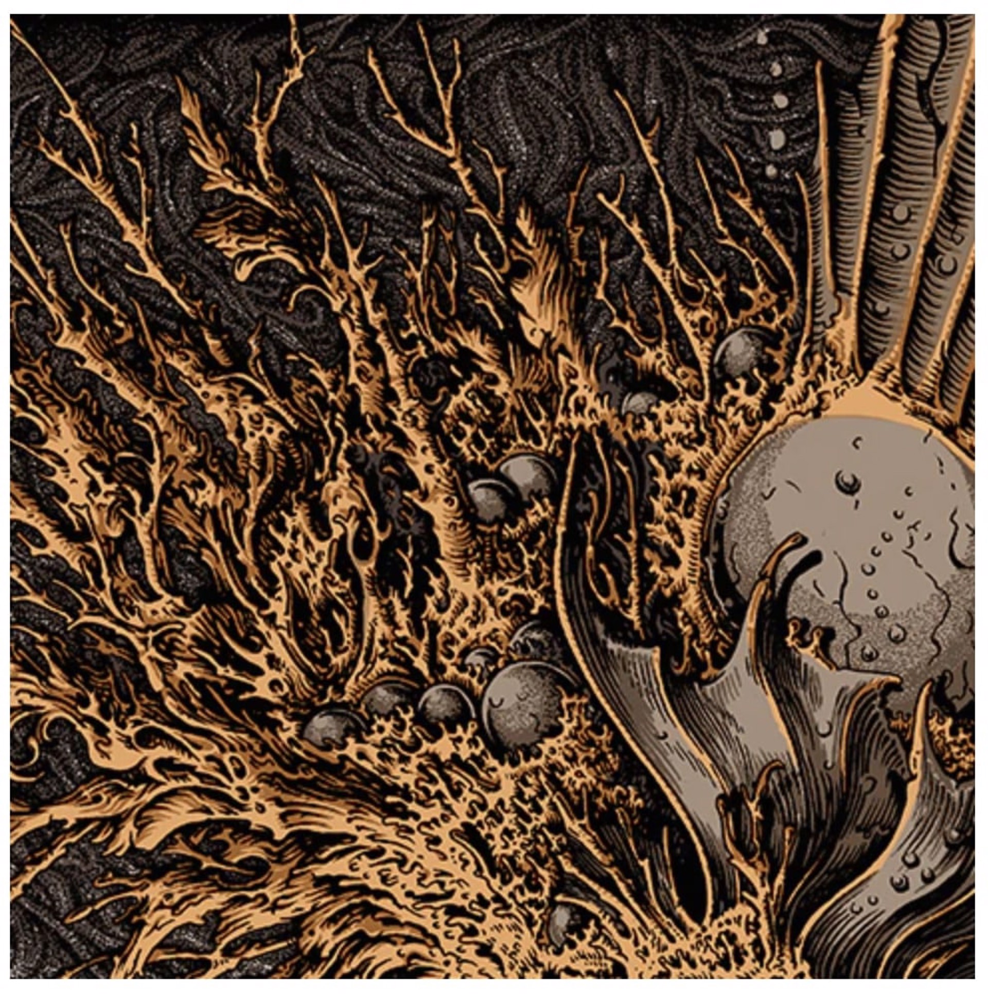 The Celestial Hippocampus by Andrew Ghrist