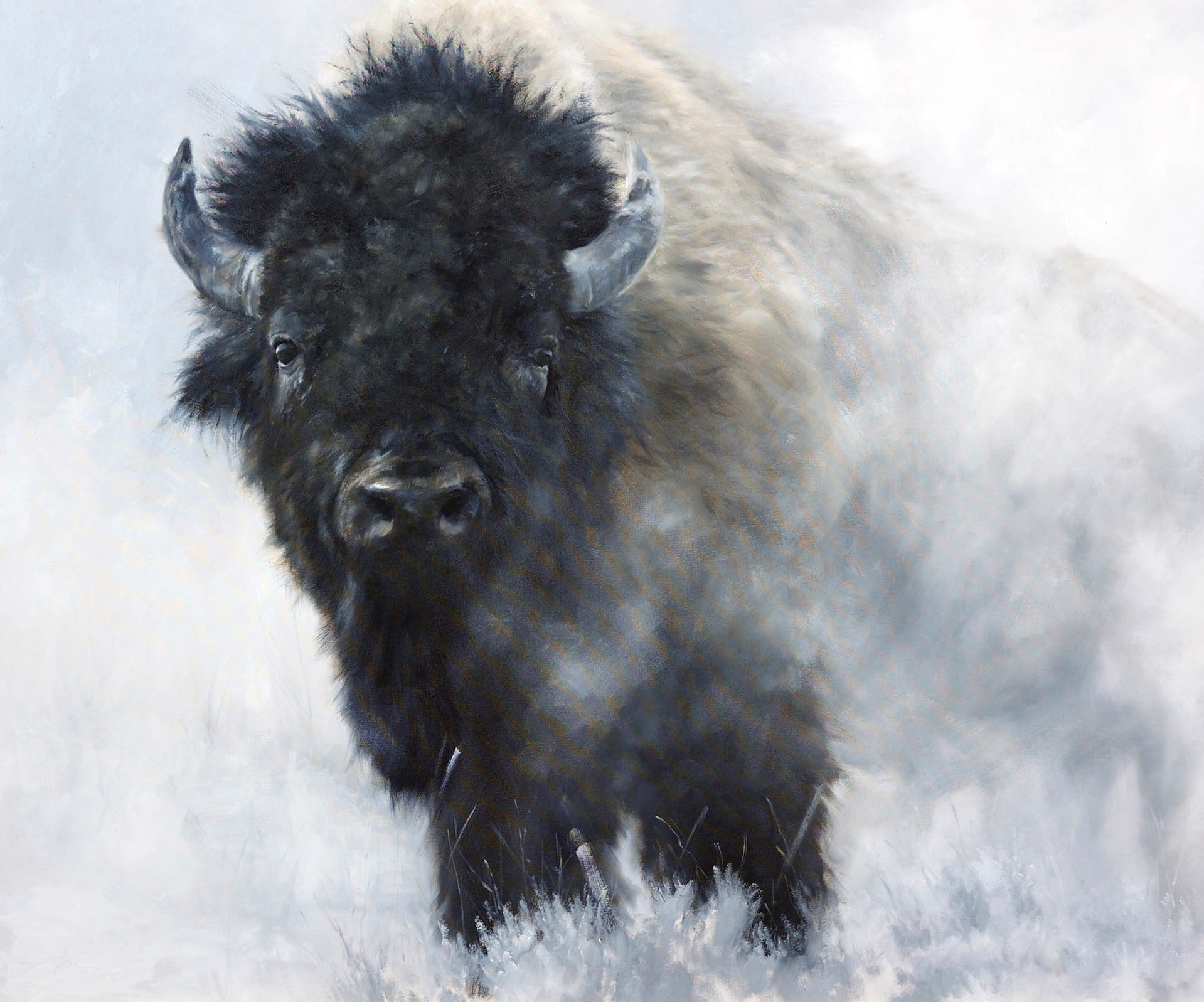 Original Oil Painting By Doyle Hostetler Featuring A Bison In A Neutral Black And White Color Palette