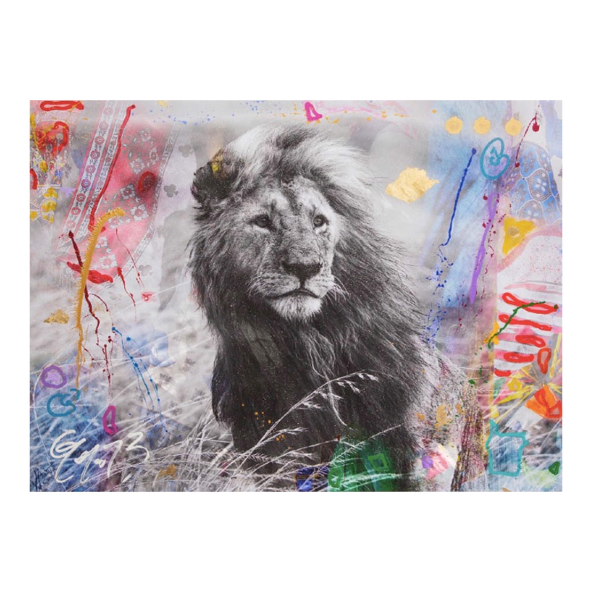 Lions, Shir [XL] by Arno Elias