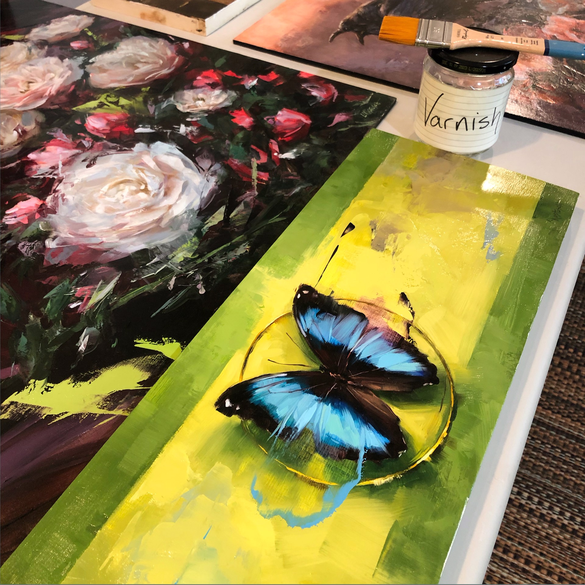 The Blue and Black Morpho on Shades of Spring by Lindsey Kustusch