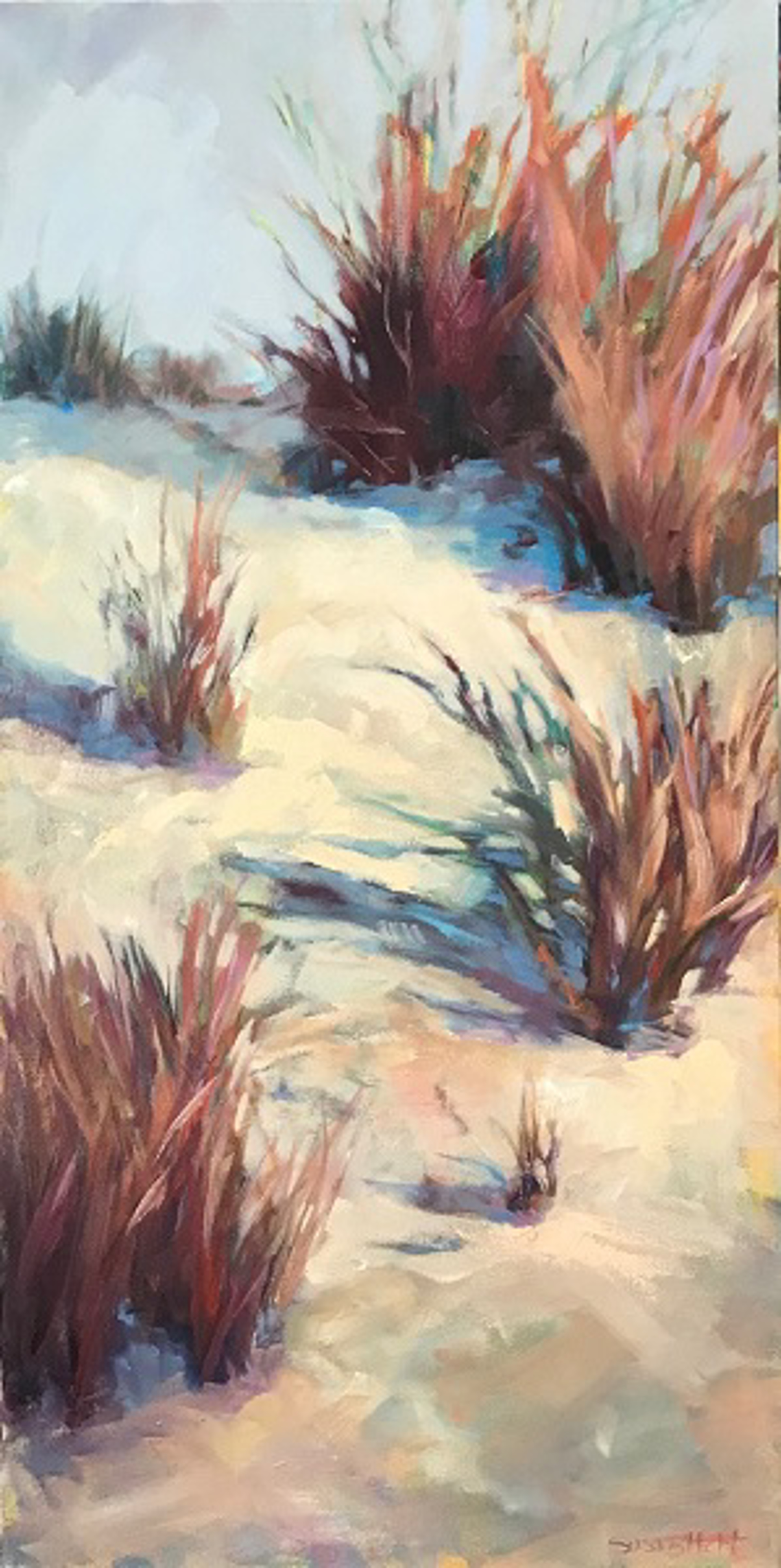 Morning Dunes by Susan Hecht
