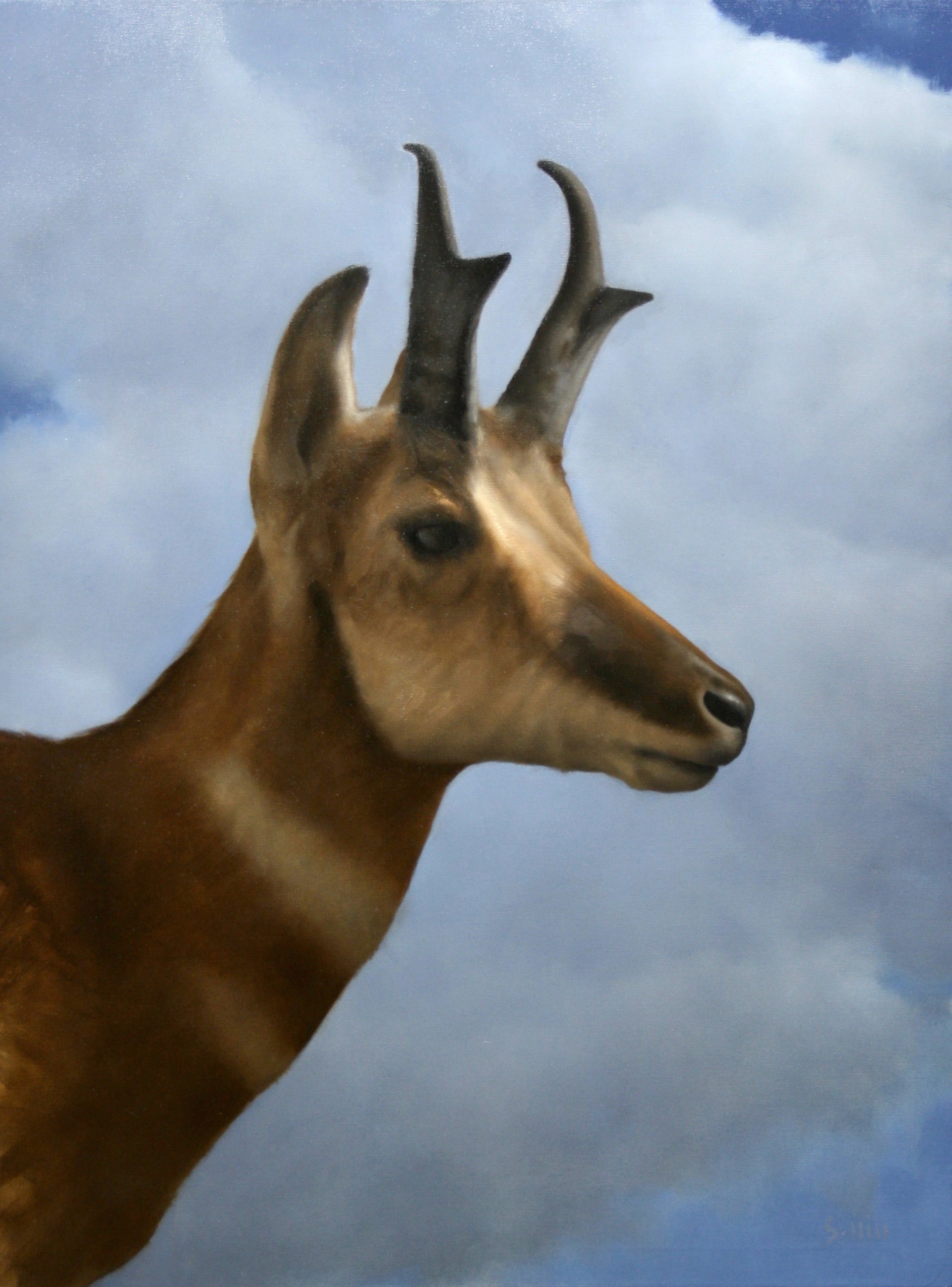 Original Oil Painting By George Hill Of A Pronghorn With Clouds 