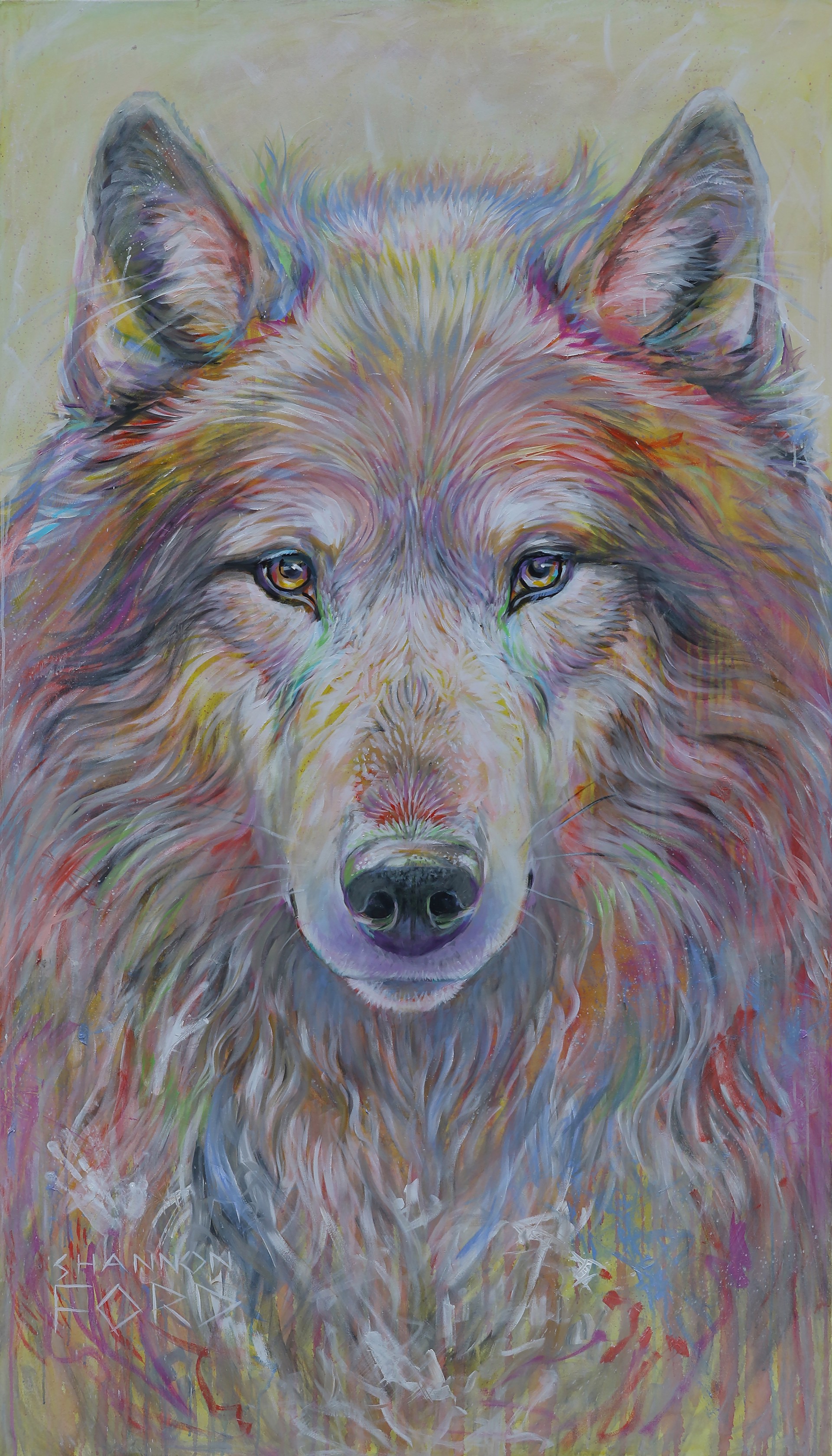 Eyes of the Wilderness by Shannon Ford
