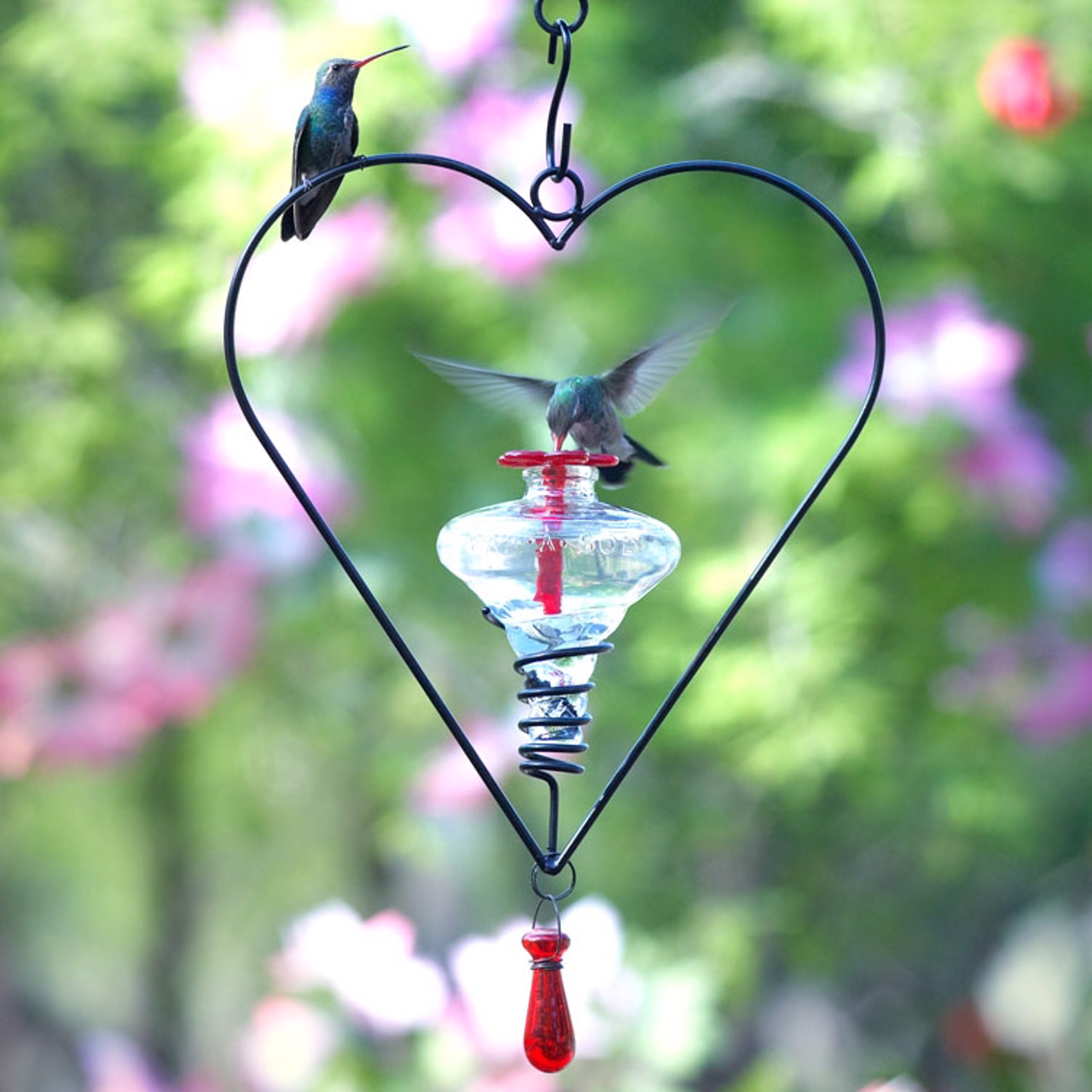 Hummingbird Feeder - Sweetheart Assorted Glass Colors by Indigo Desert Ranch - Hummingbird Feeders