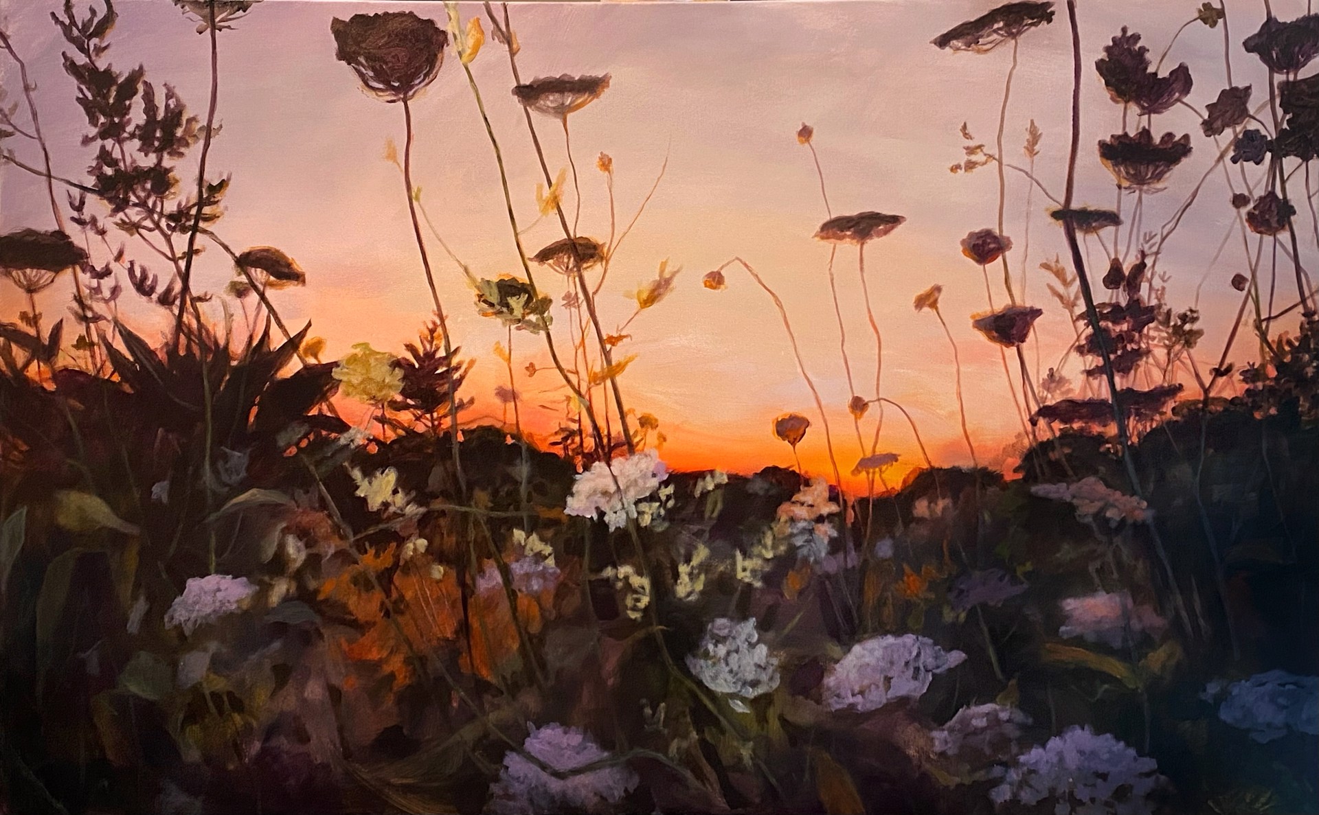 Queen Anne's Lace by Emma Ballou