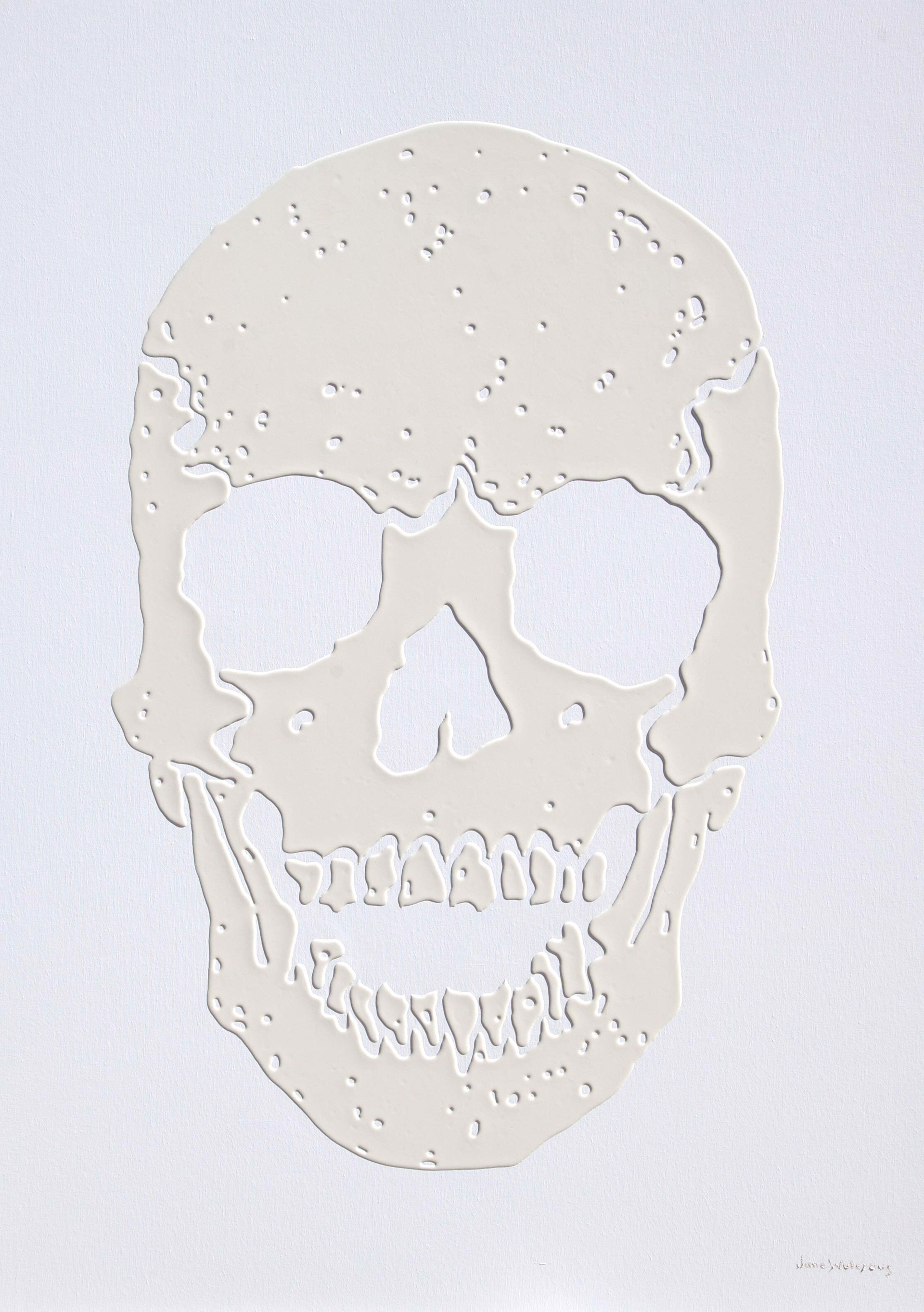 Skulls by Jane Waterous