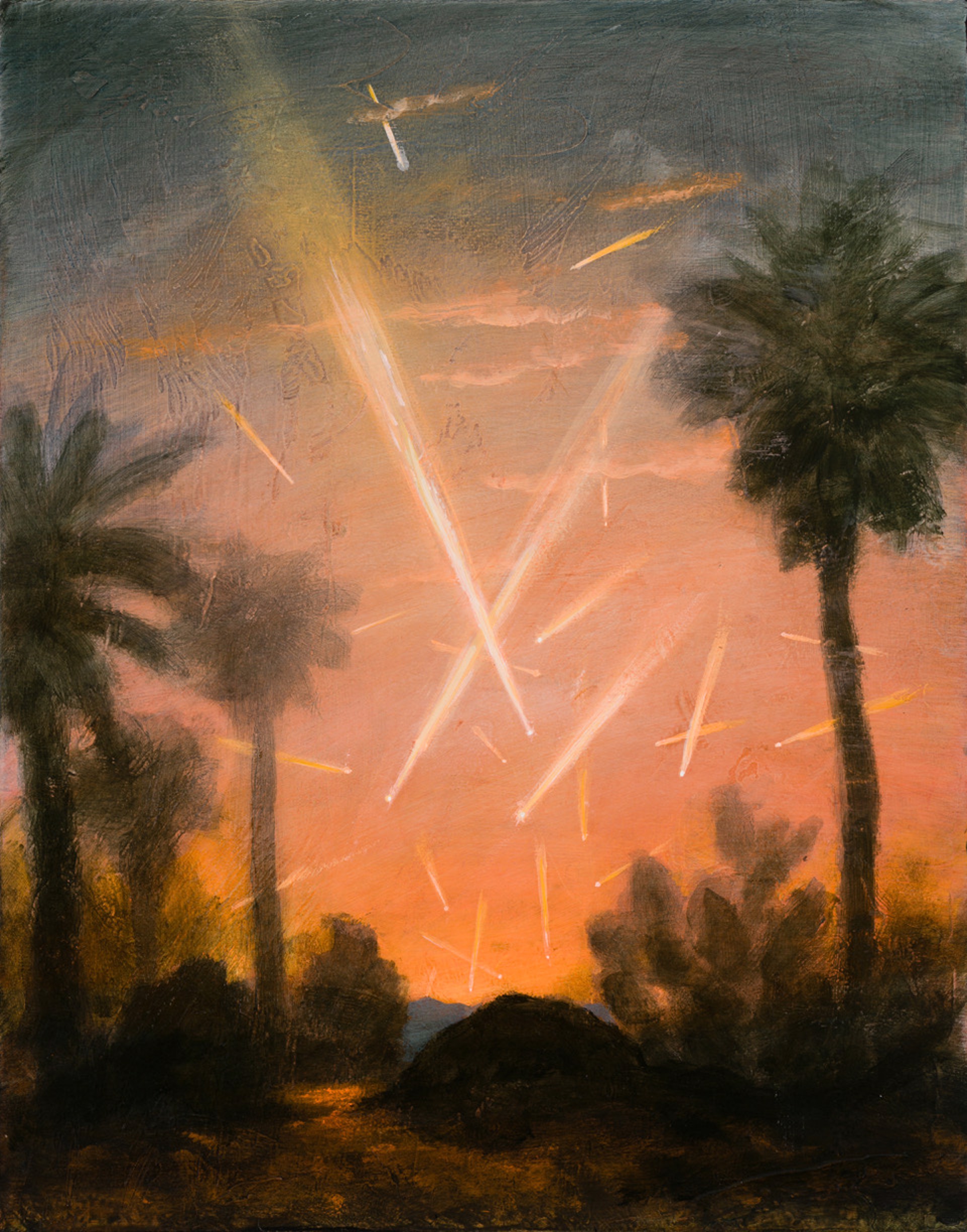 Meteors with Desert Garden by Kevin Sloan