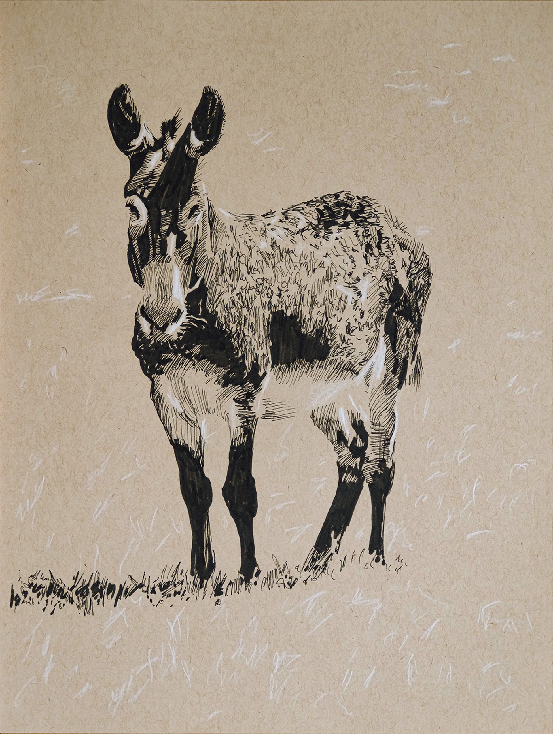 Donkey In The Sun by Ed Ford