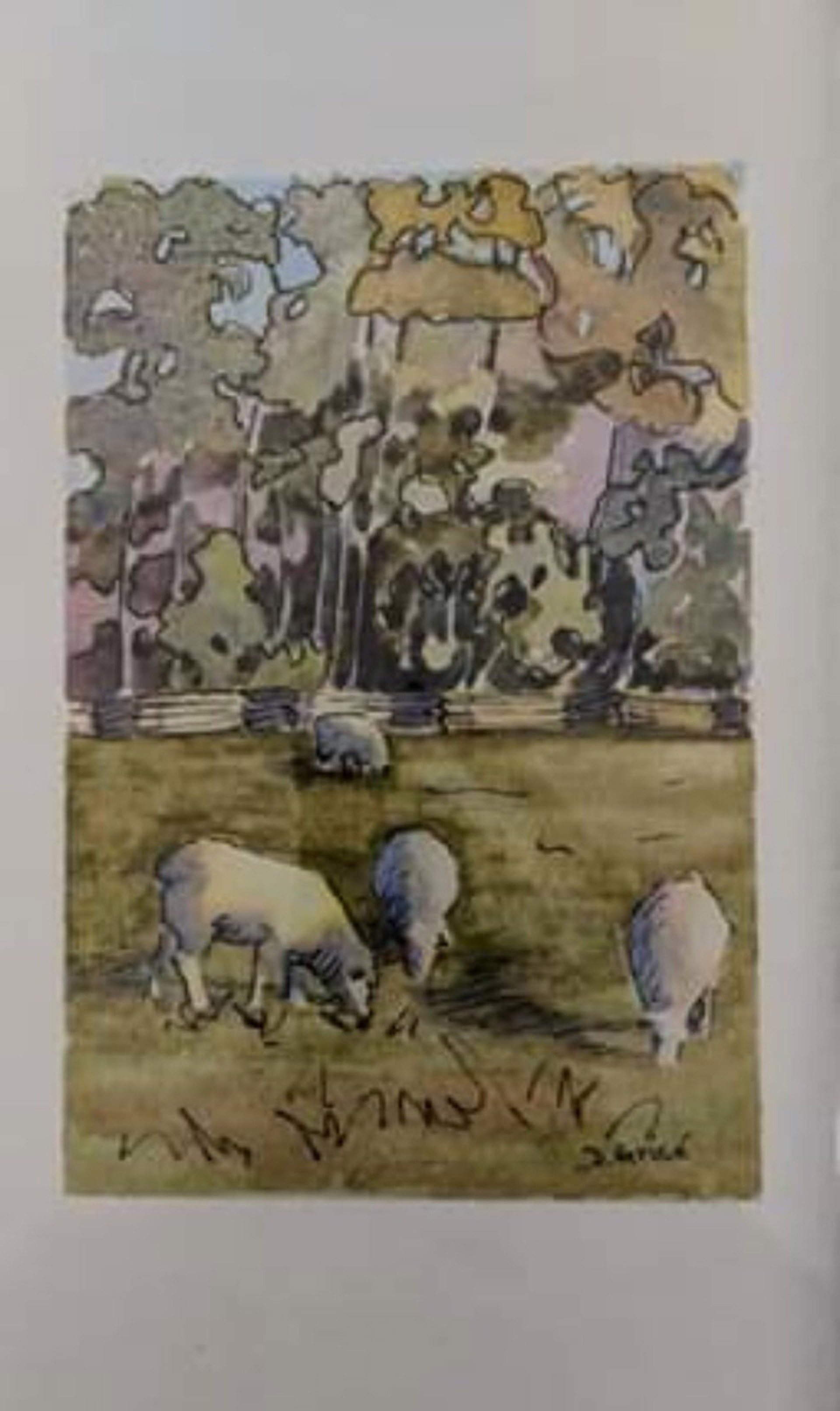 Grazing sheep by Deb Grise
