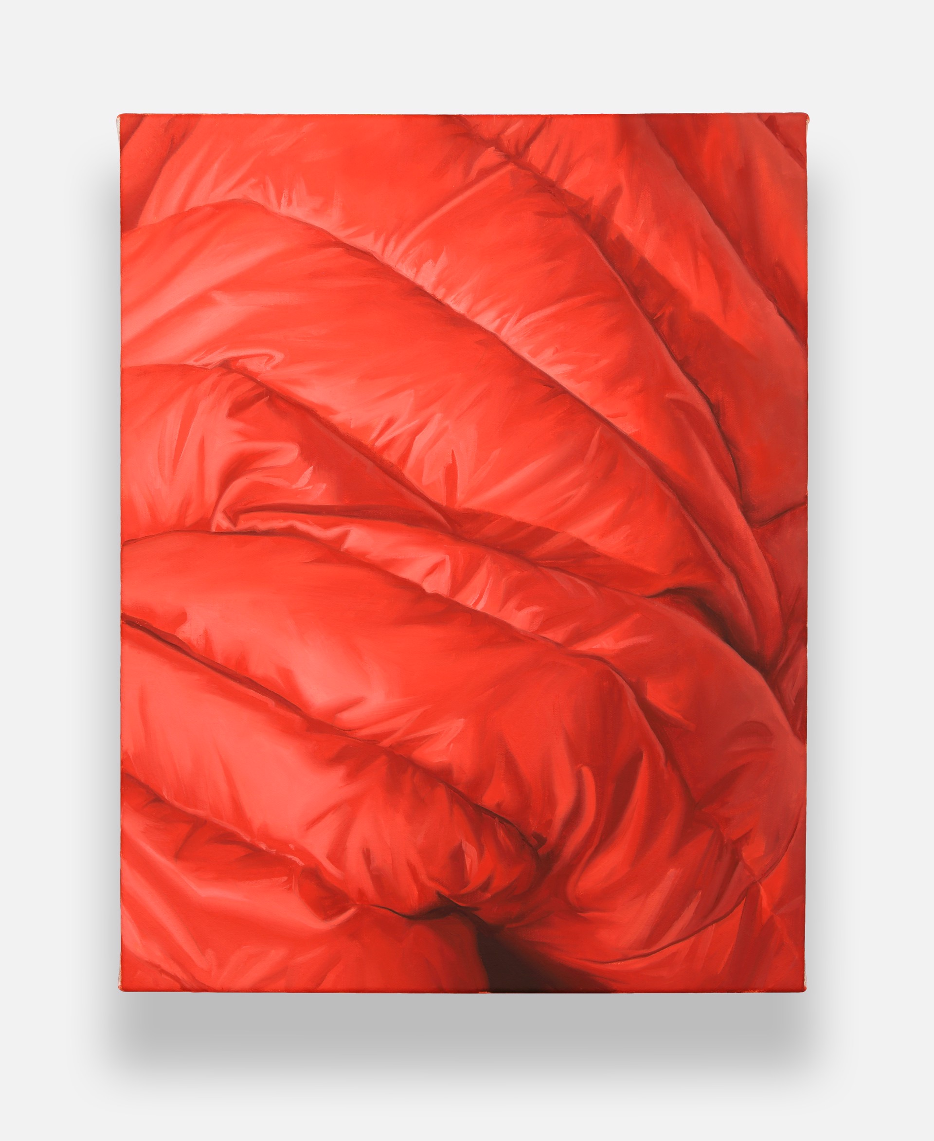Red Down Jacket Fabric Study by Shawn Huckins