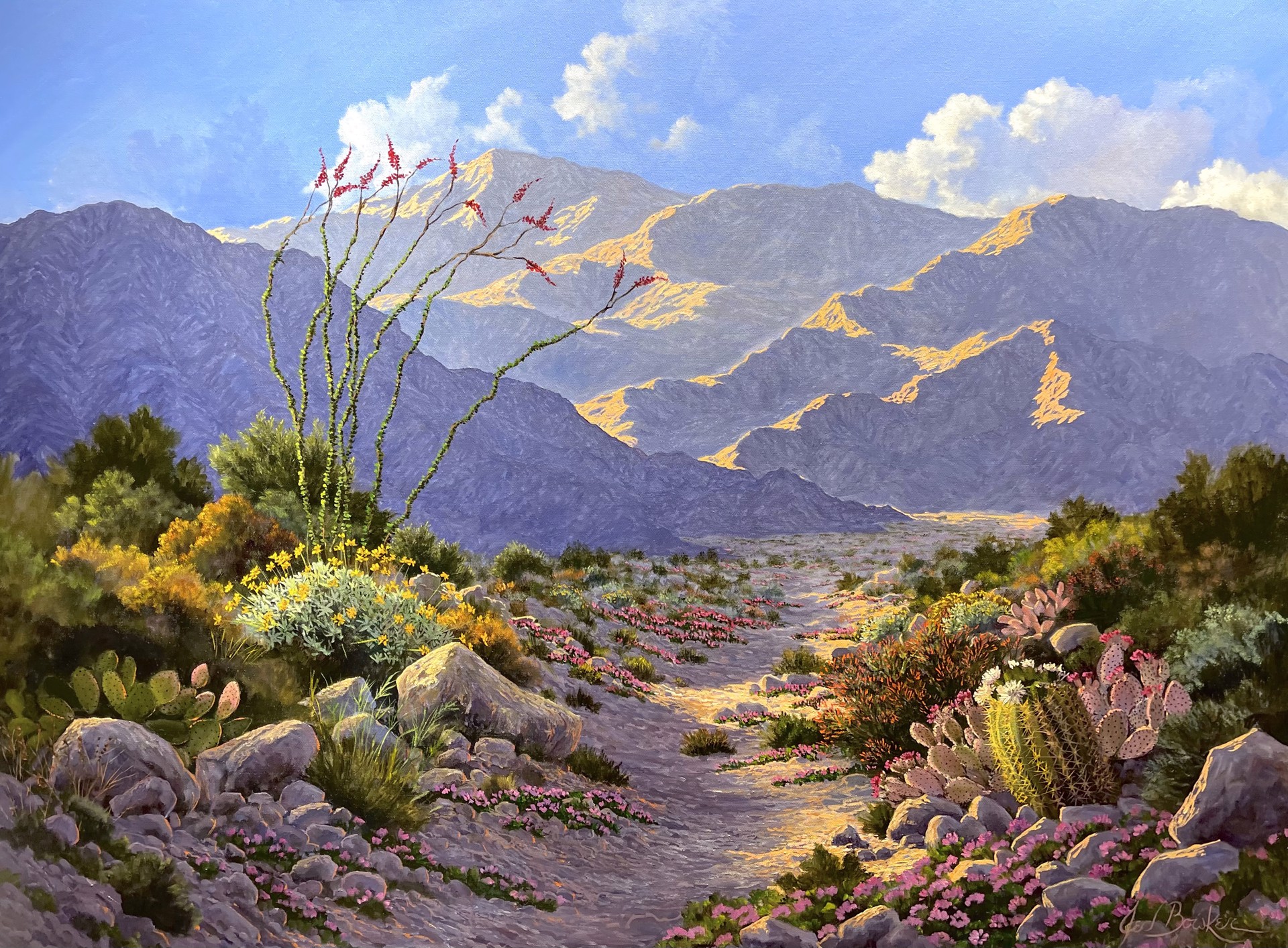 Desert Spring Path by Jed Bowker
