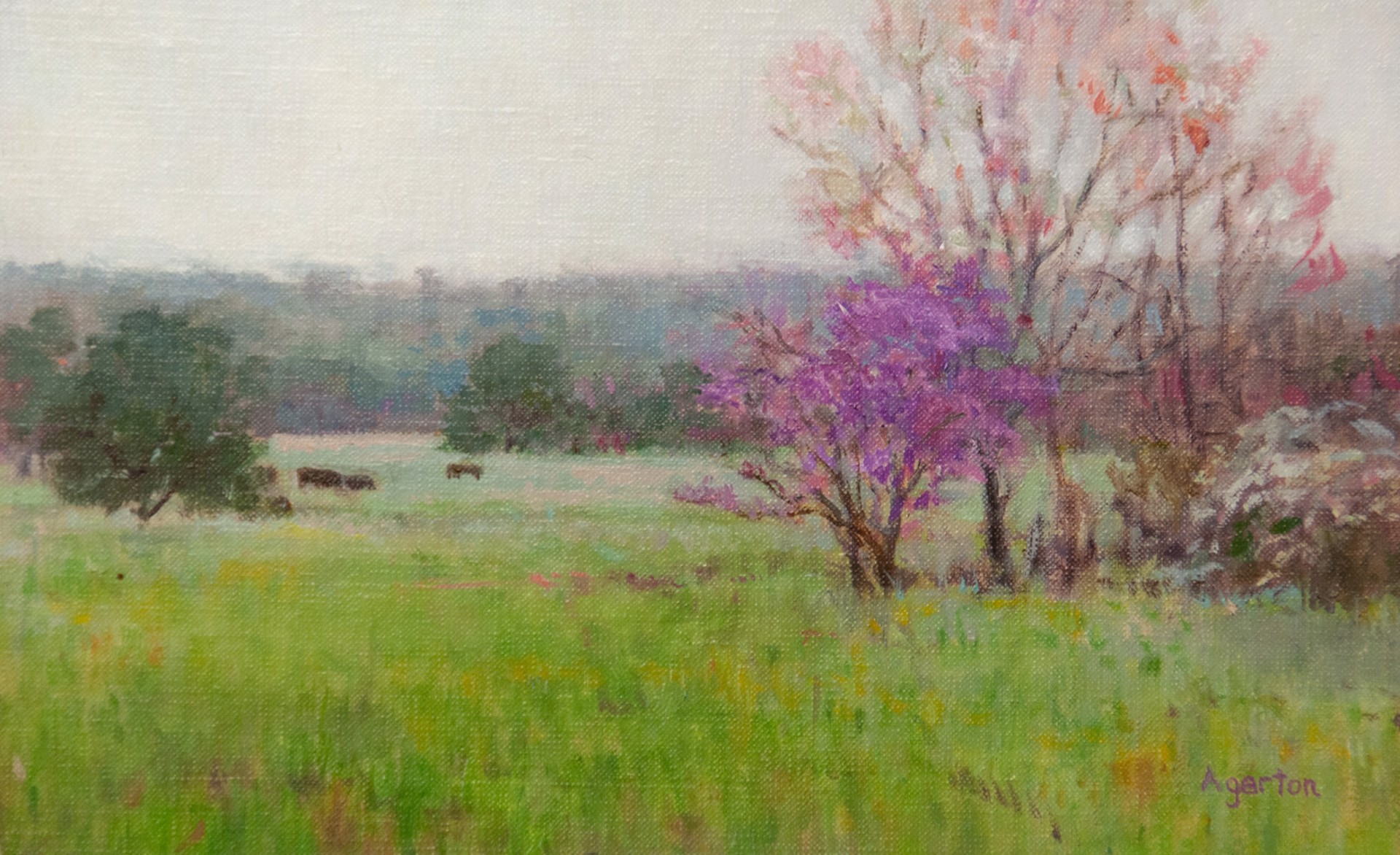 Redbud Spring II by Mallory Agerton