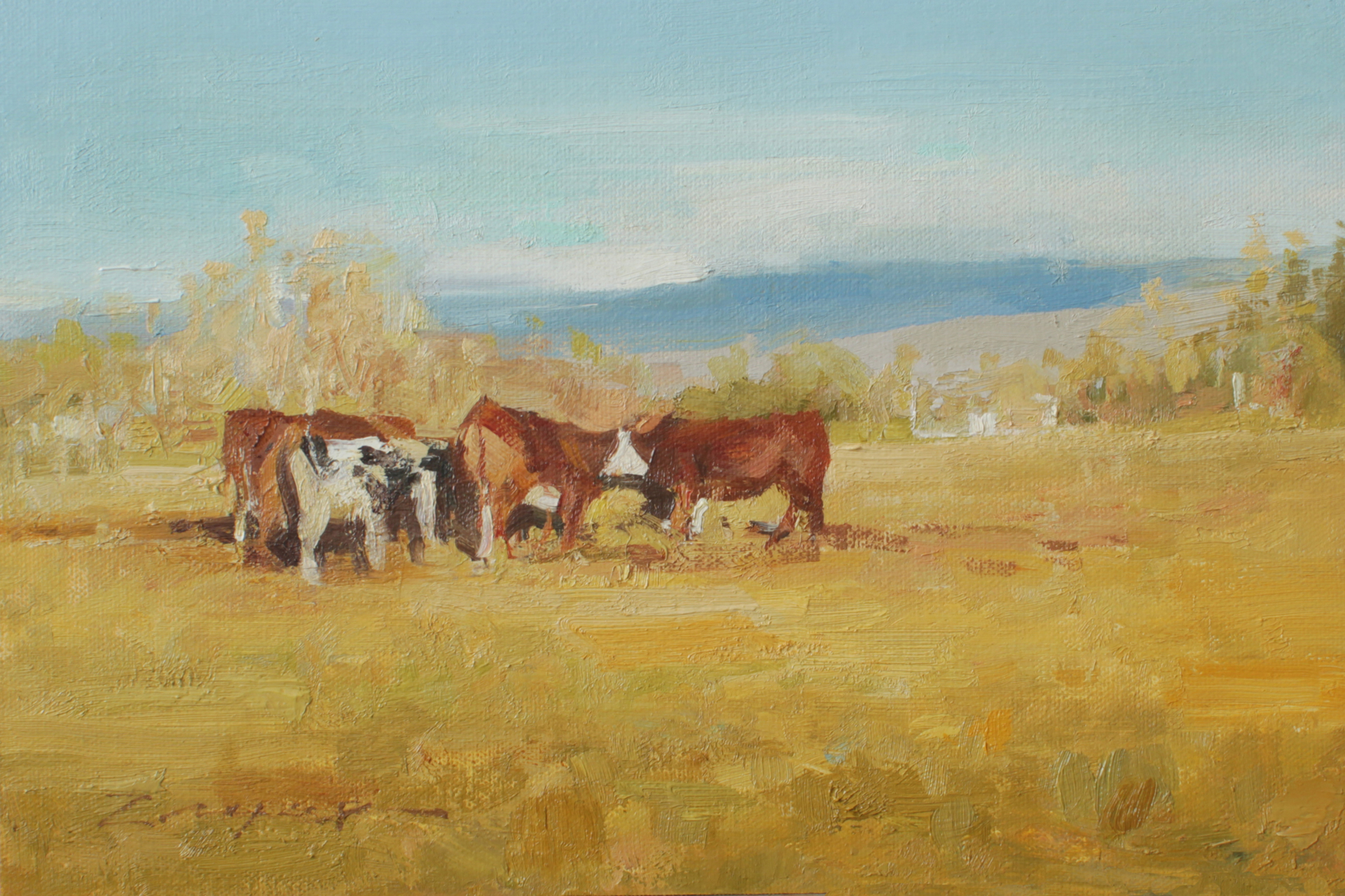 January Cows by Allie Zeyer