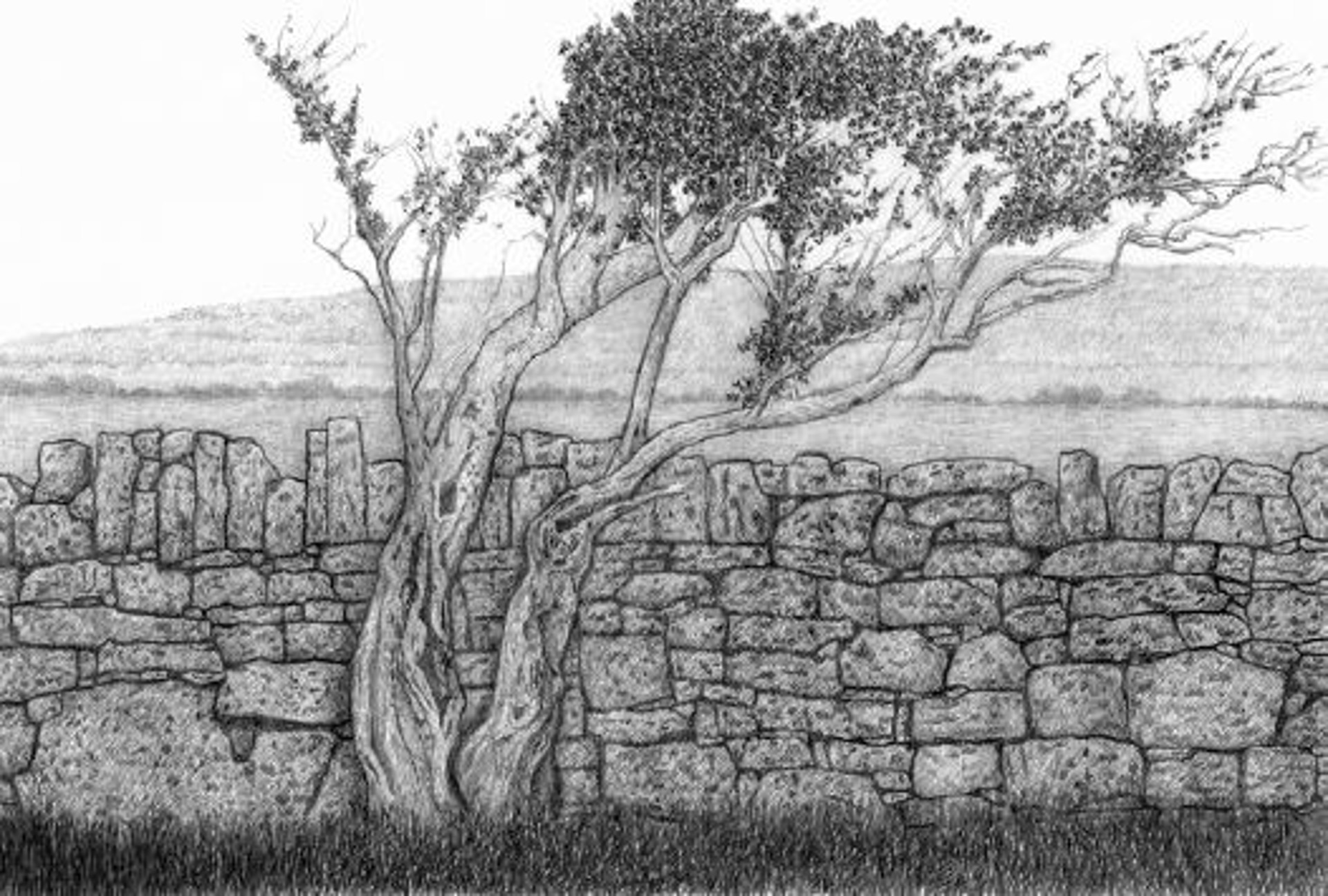 Burren Scene by Linda Rzoska
