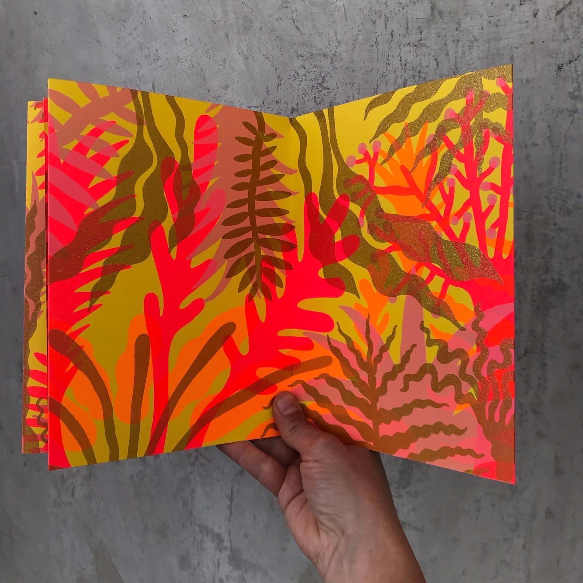Bosque Tropical (2nd Edition) by Polvoh Press
