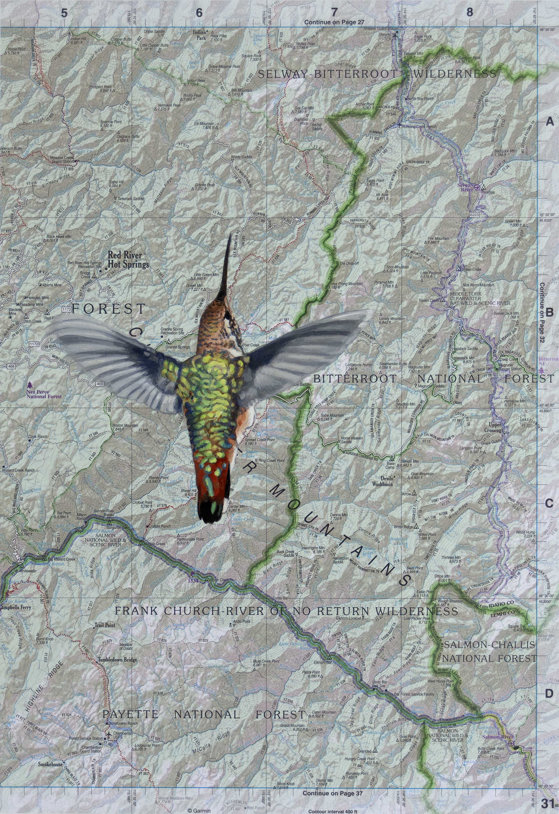 Hummingbird Over Salmon River by Diane Andrews Hall