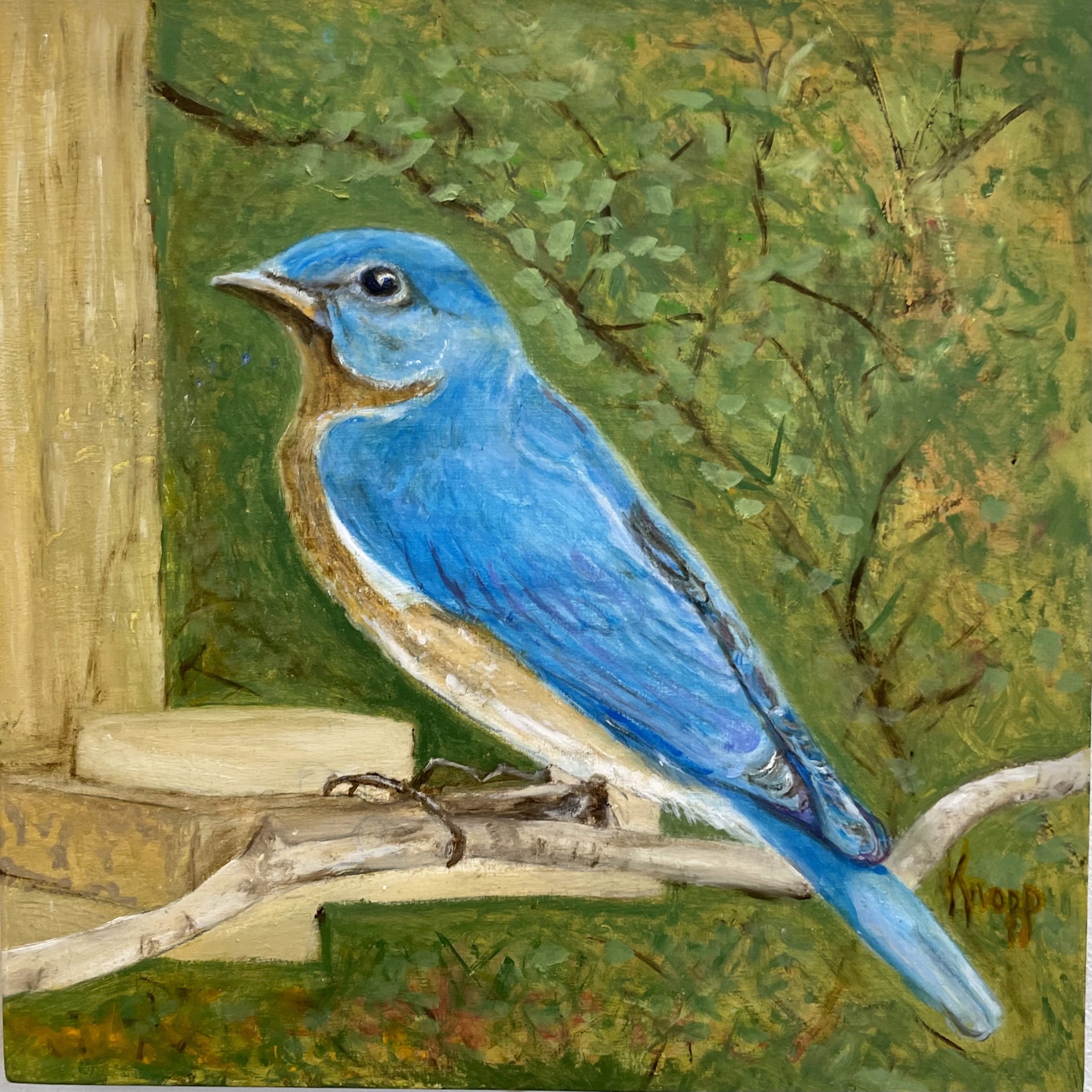 Blue Bird by Kathy Knopp