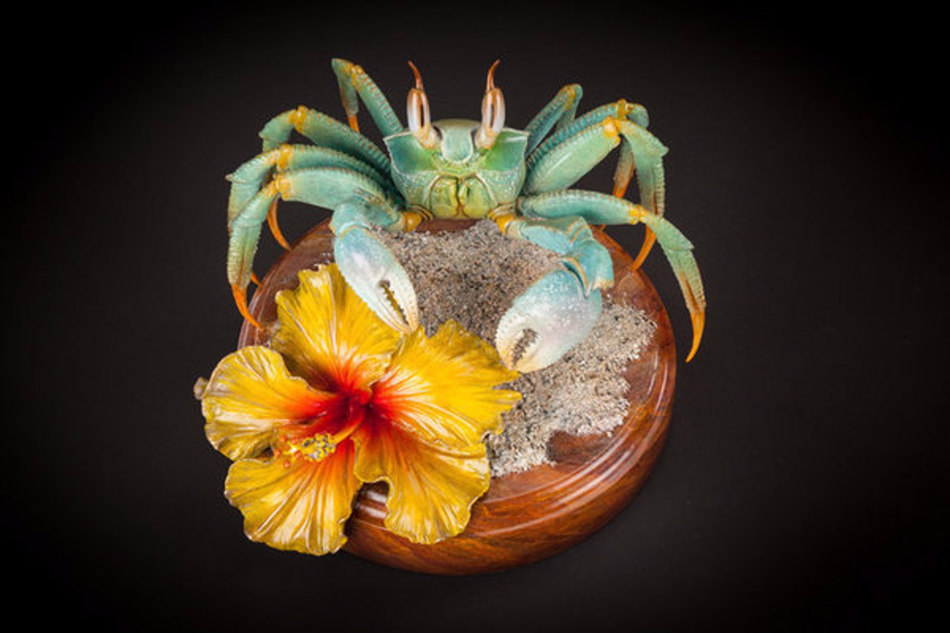 Beachcomber by Andrea Everhart