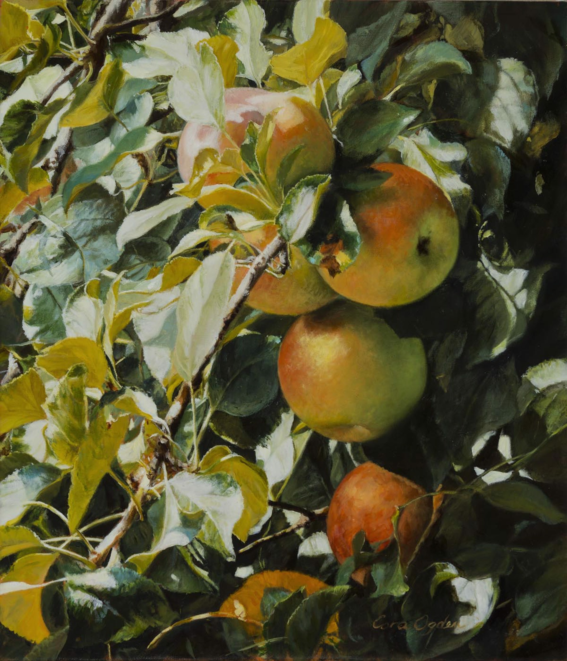 Late Summer Apples by Cora Ogden