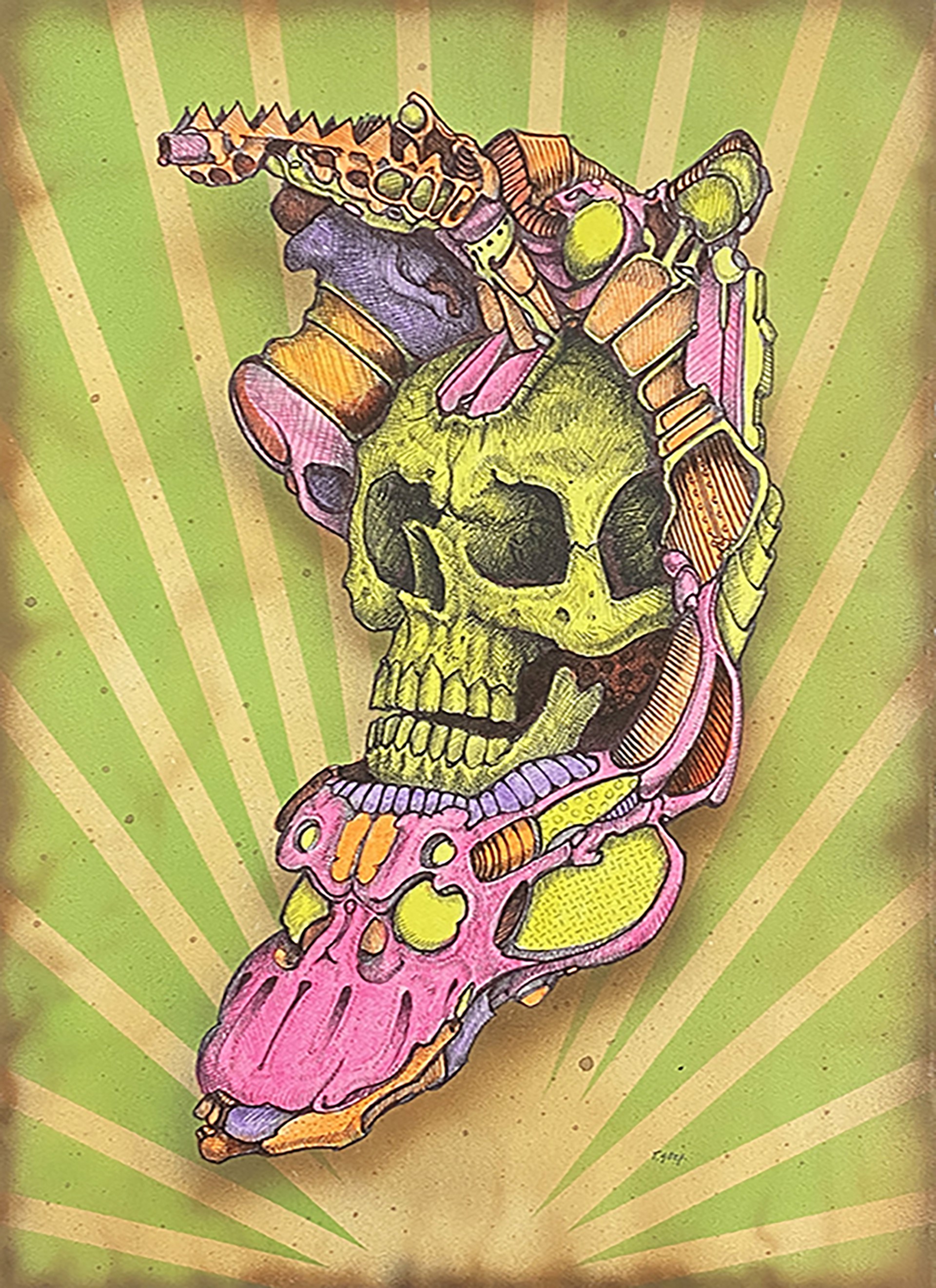 Skull Study #2 by Tom Stephenson