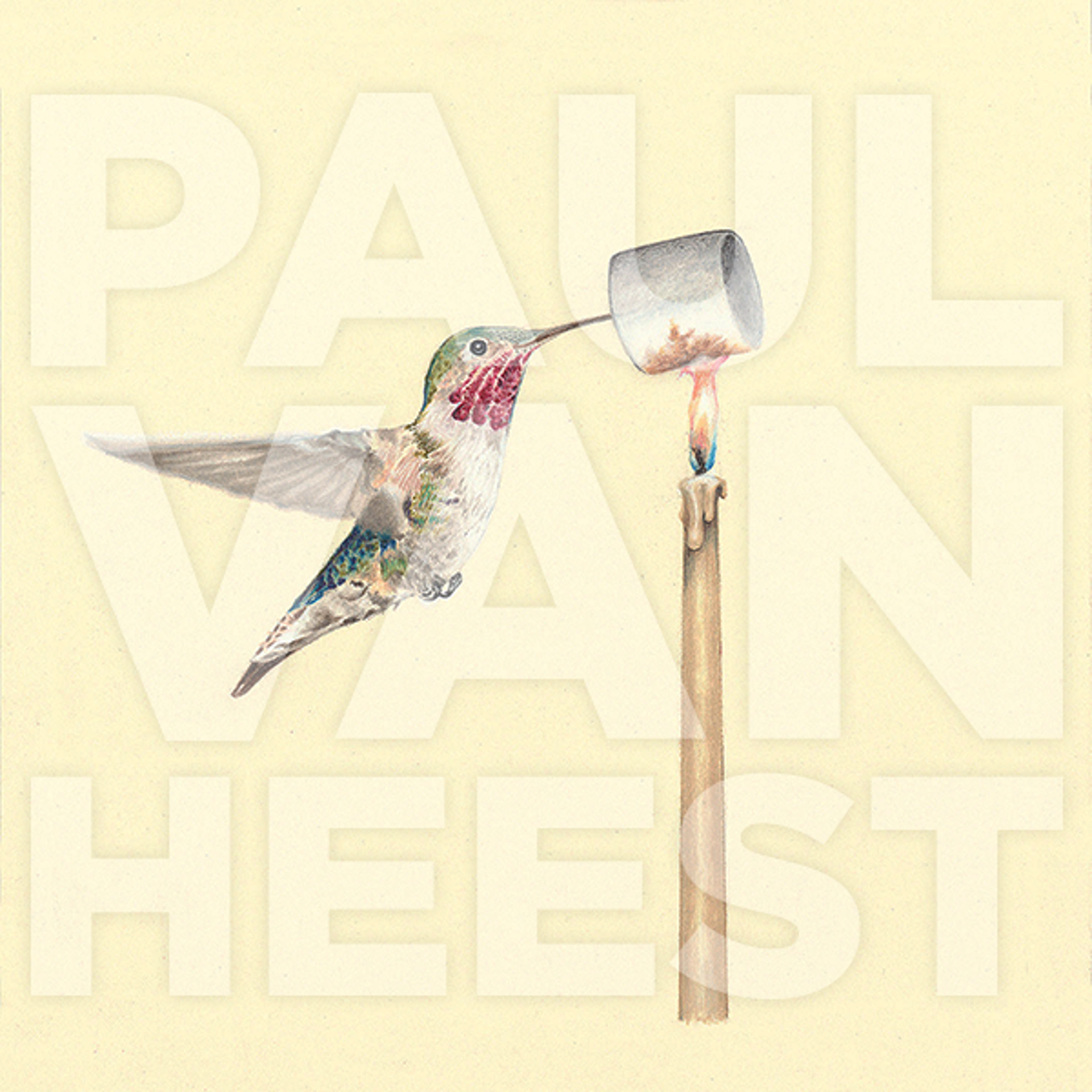 Hummingbird with Marshmallow by Paul Van Heest