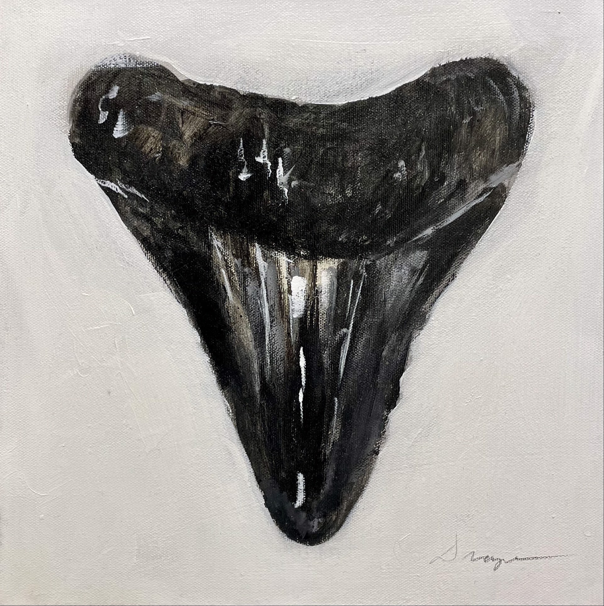 Shark Tooth no. 16 by Jim Draper