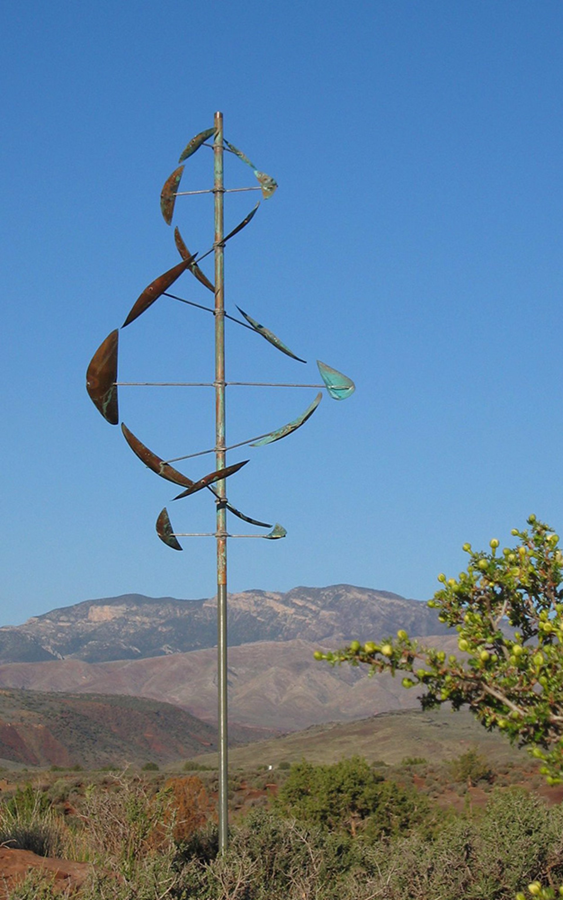 Wind Dancer by Lyman Whitaker